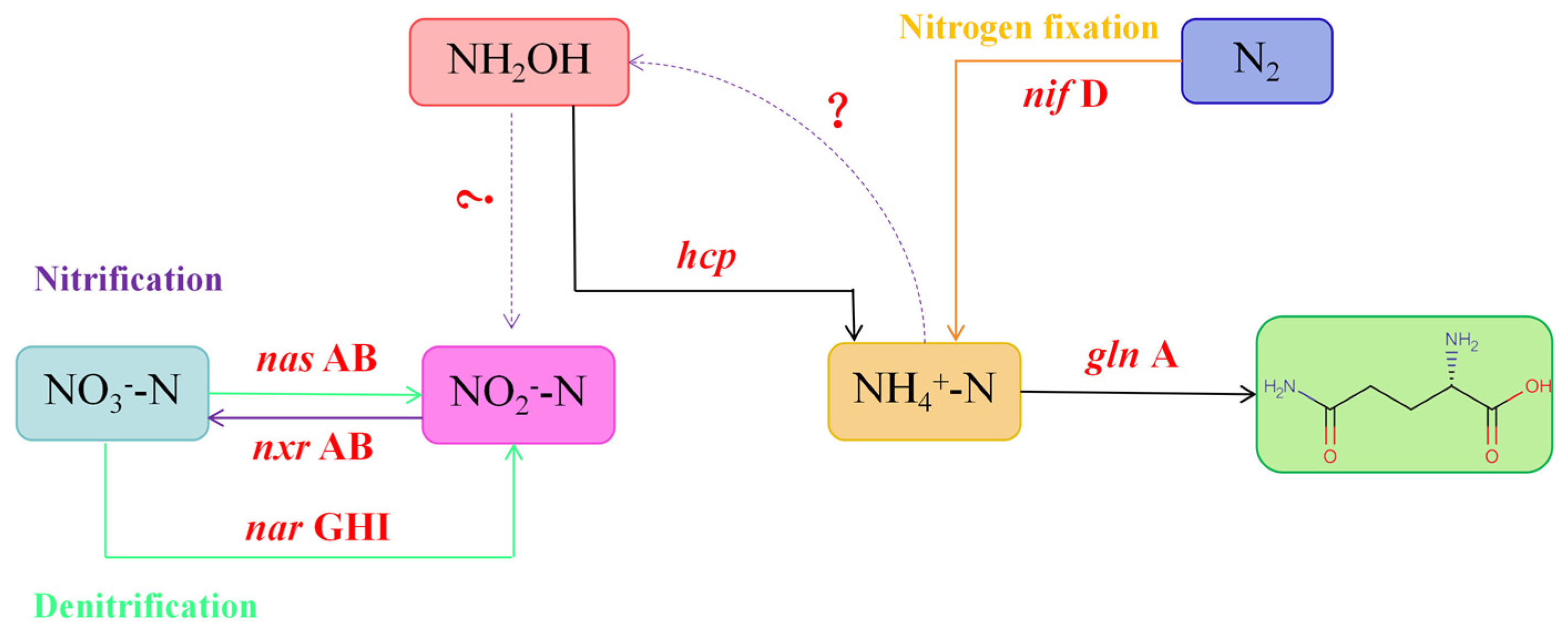 Microorganisms 13 00297 g006