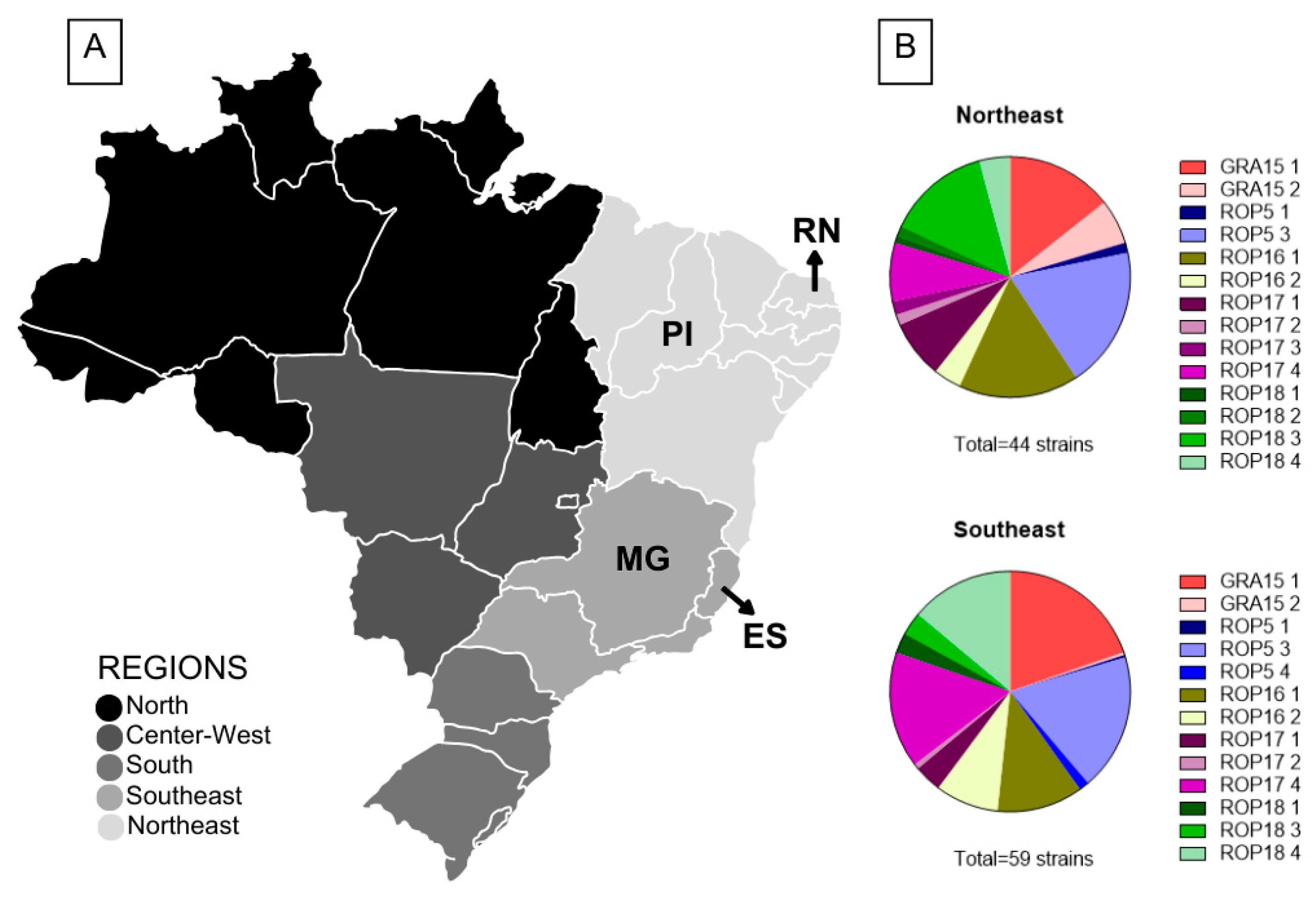 Microorganisms 13 00301 g001 Microorganisms 13 00301 g001