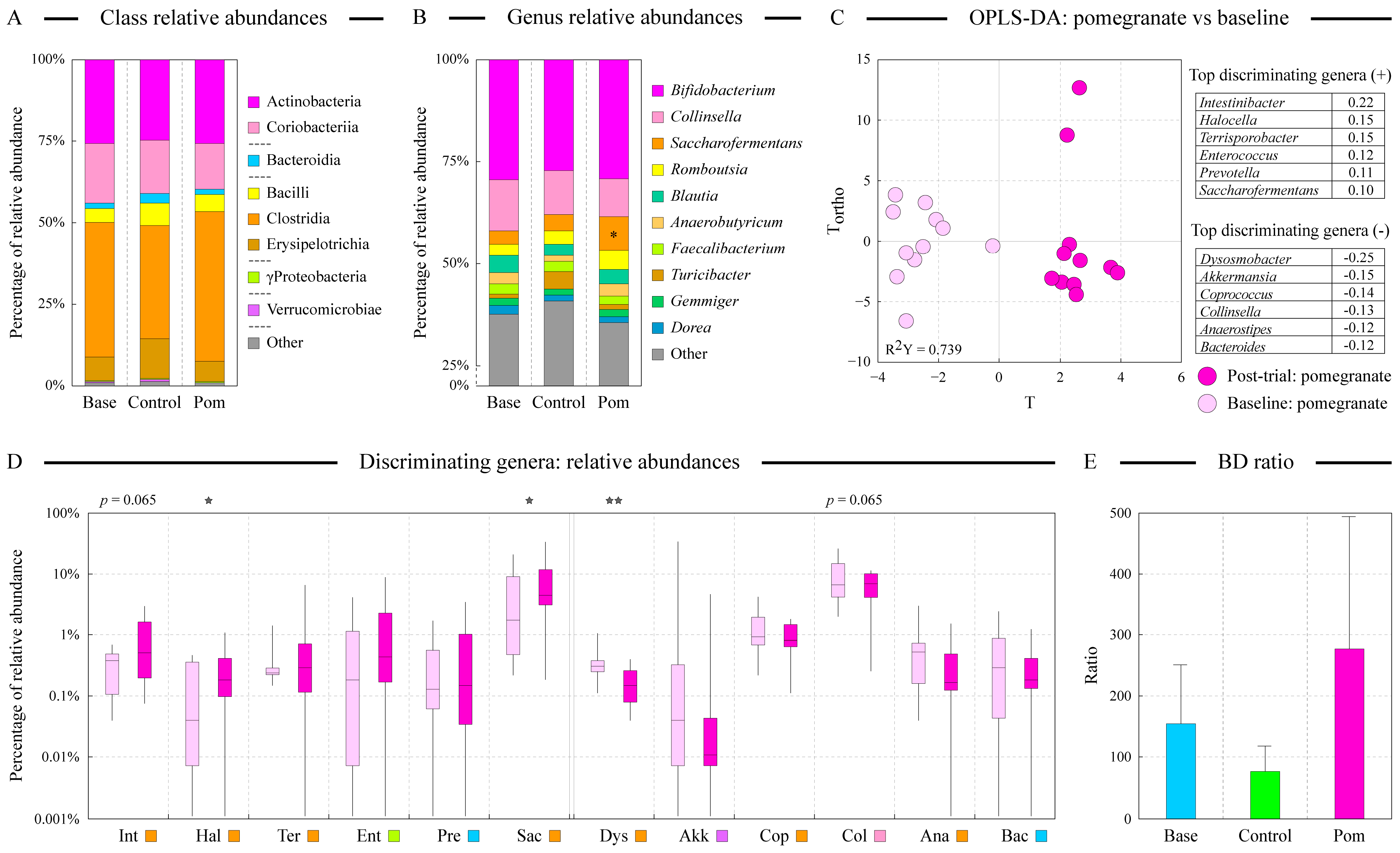 Microorganisms 13 00305 g003 Microorganisms 13 00305 g003