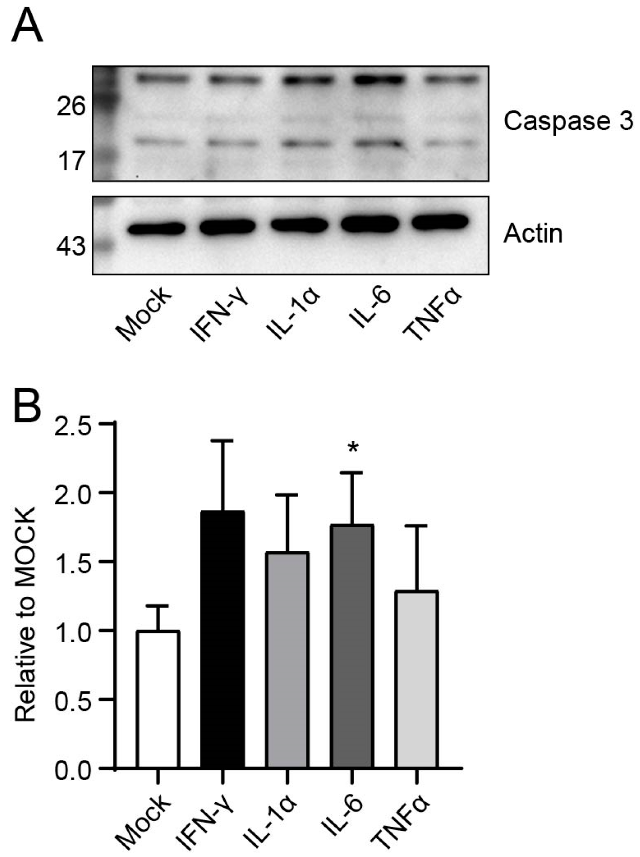 Microorganisms 13 00313 g005