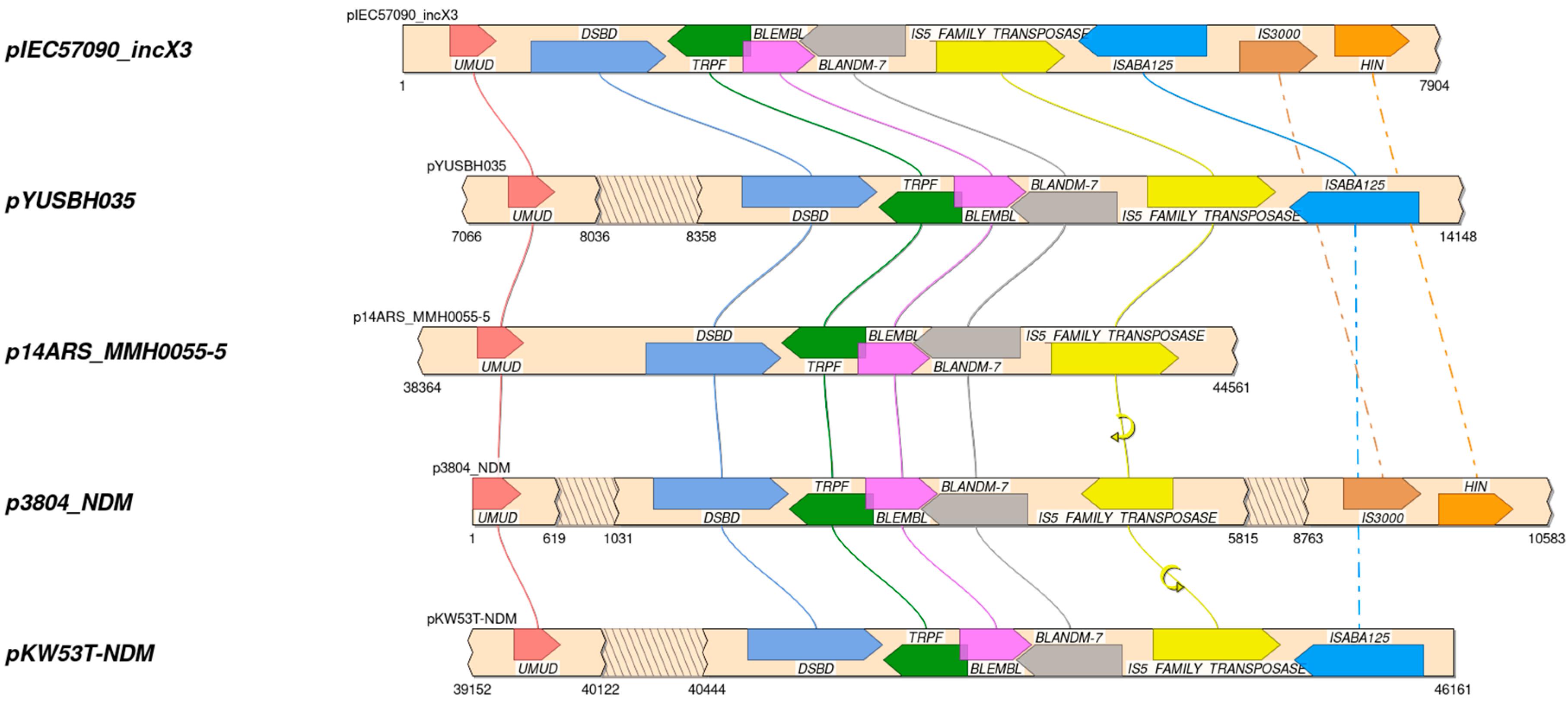 Microorganisms 13 00314 g002