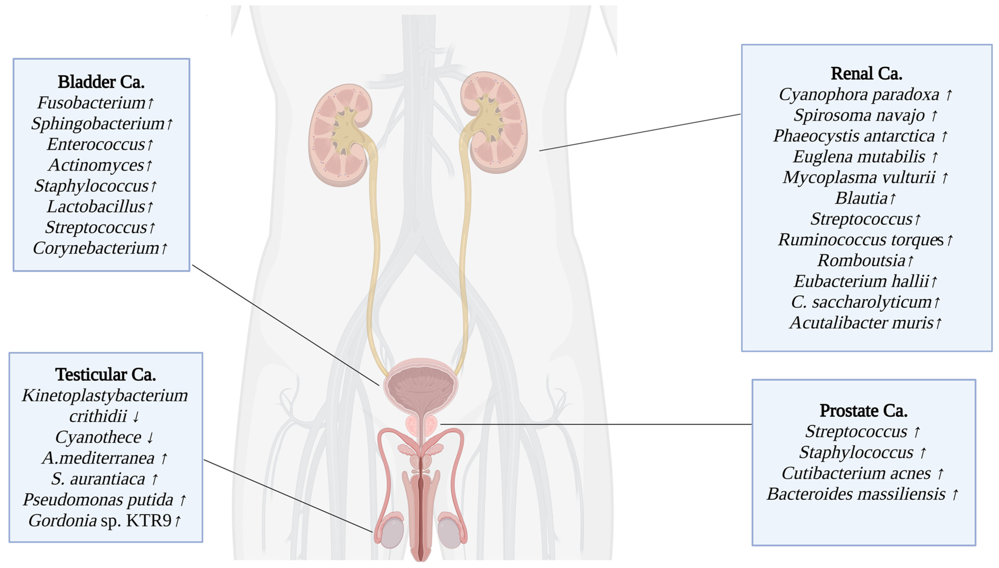 Microorganisms 13 00315 g001