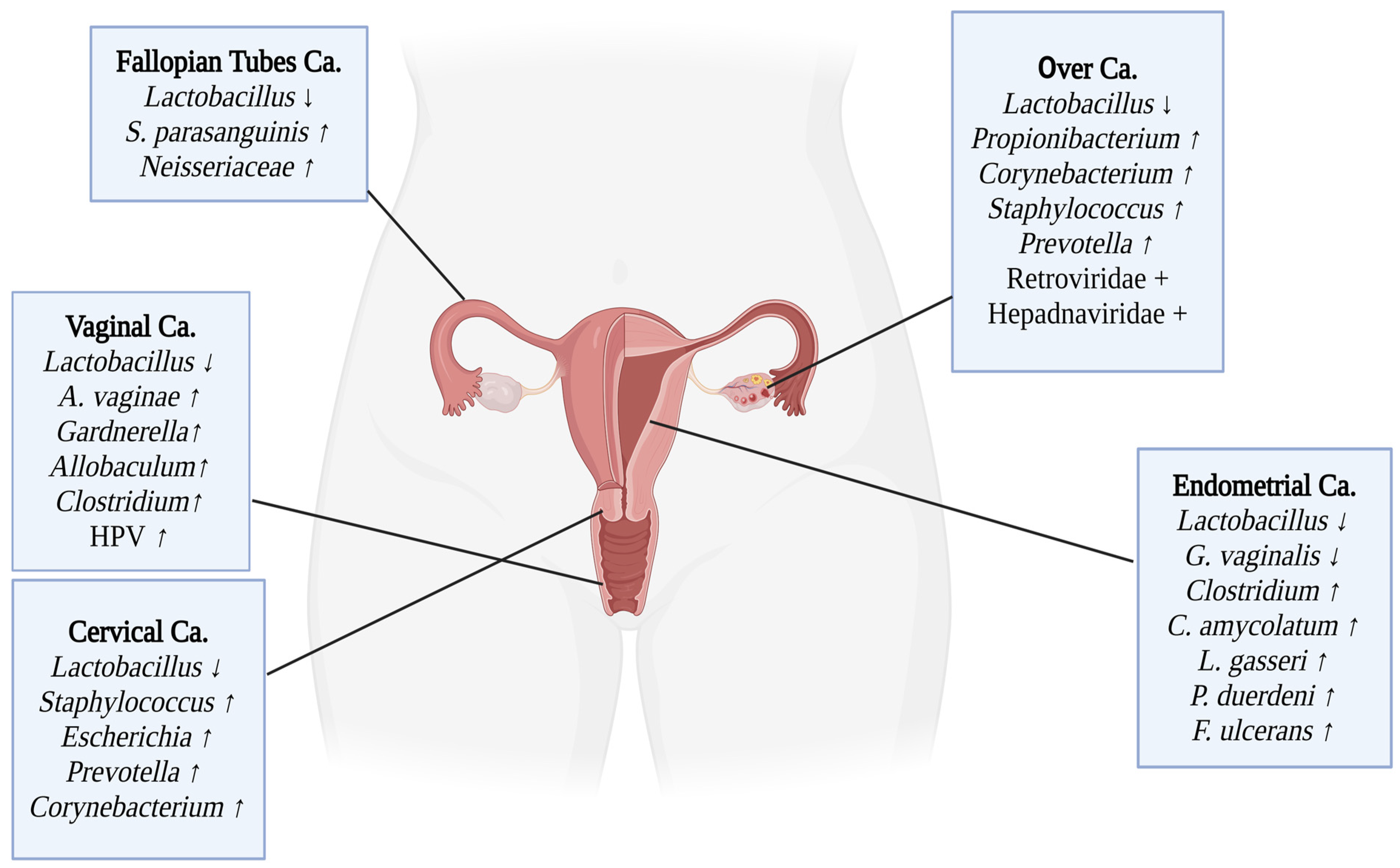 Microorganisms 13 00315 g002