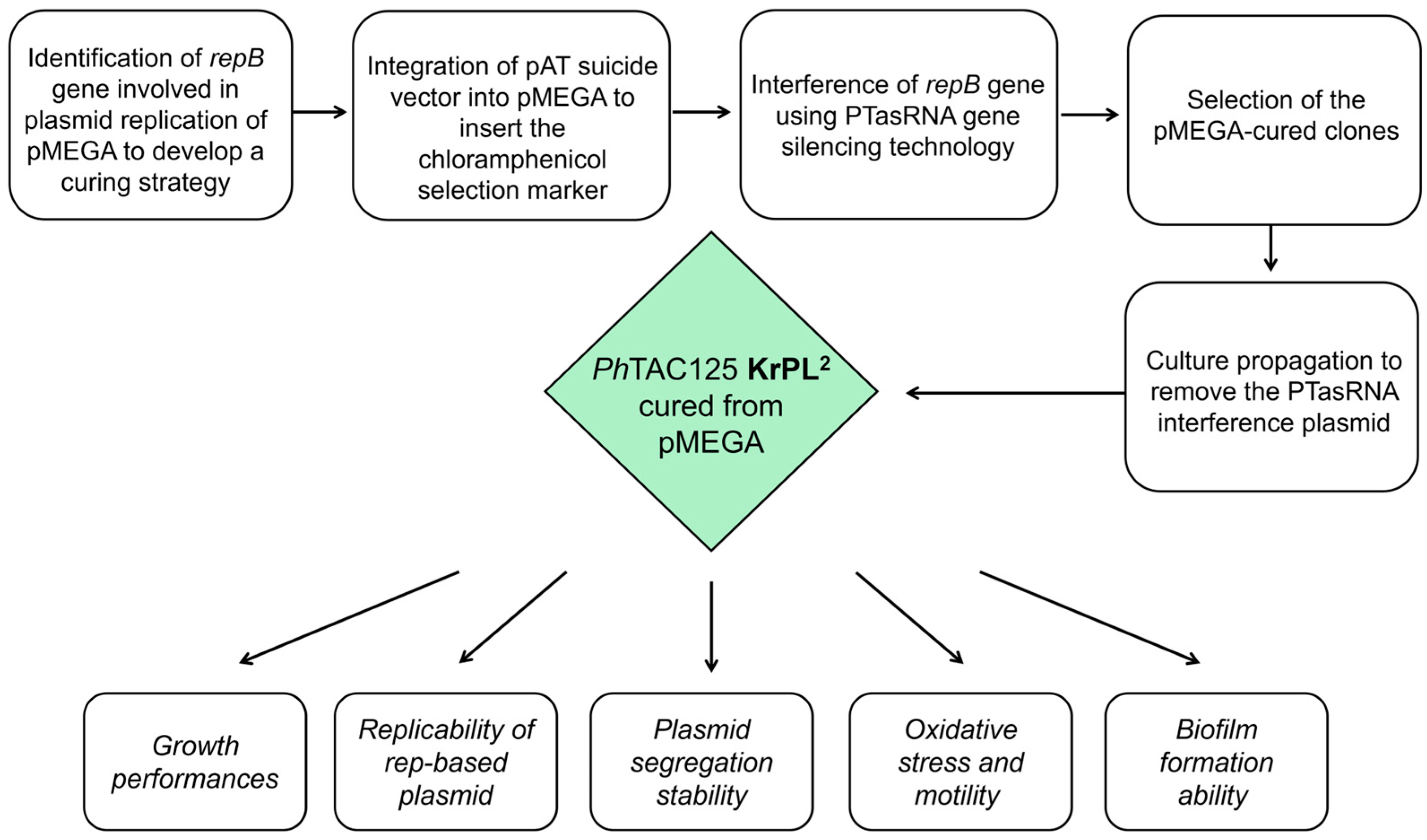 Microorganisms 13 00324 g001