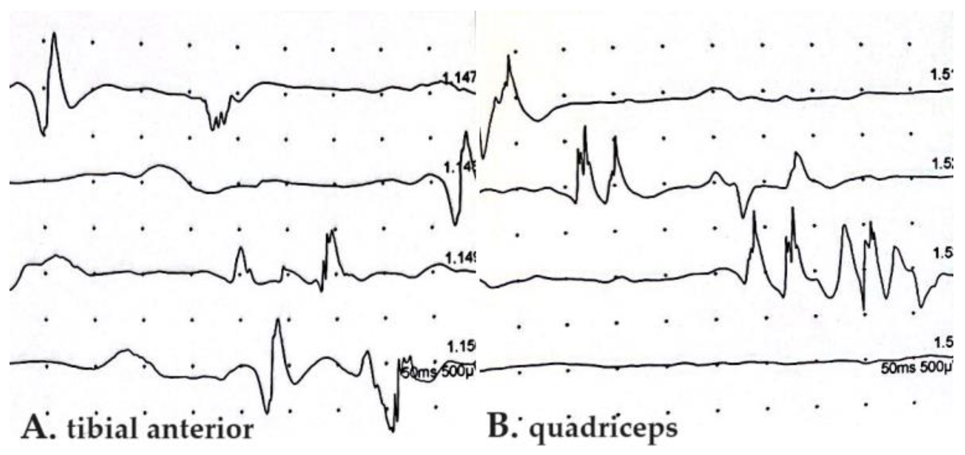 Microorganisms 13 00328 g003