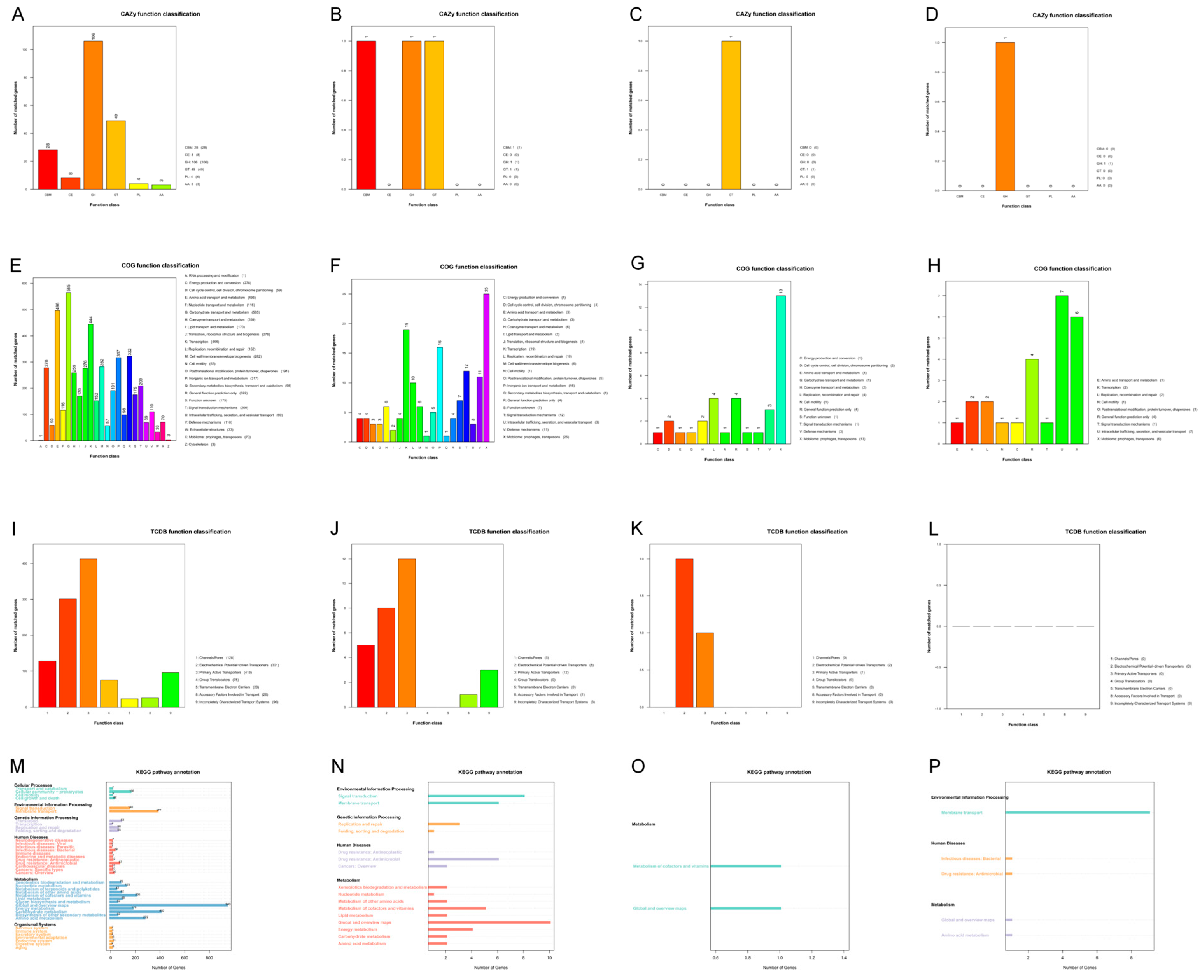 Microorganisms 13 00332 g003