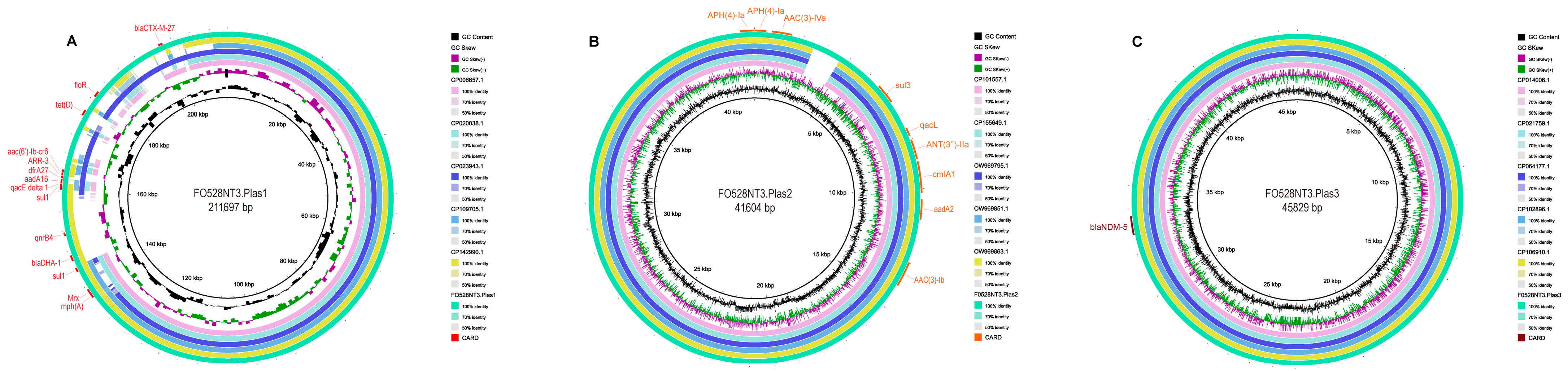 Microorganisms 13 00332 g005