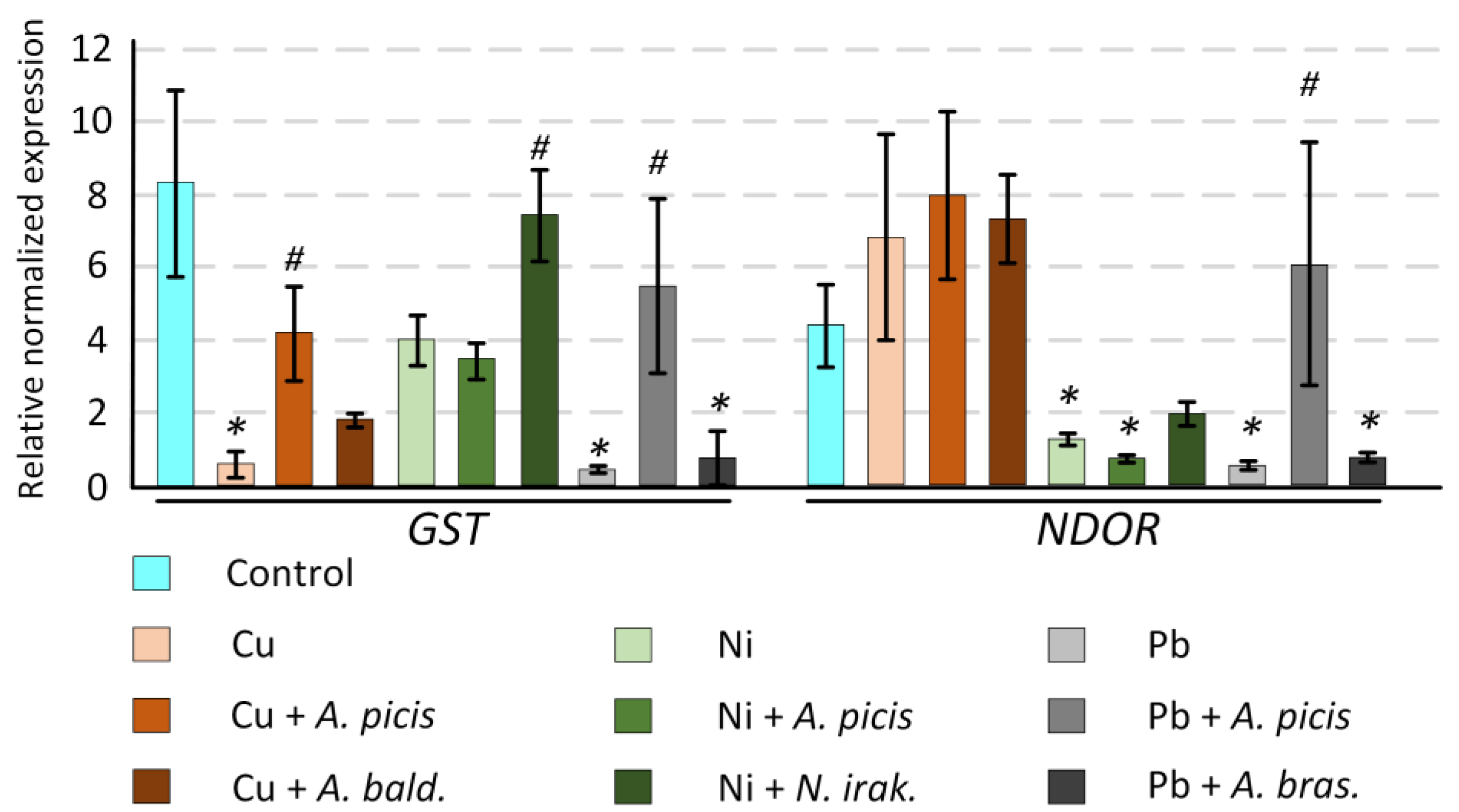 Microorganisms 13 00334 g006
