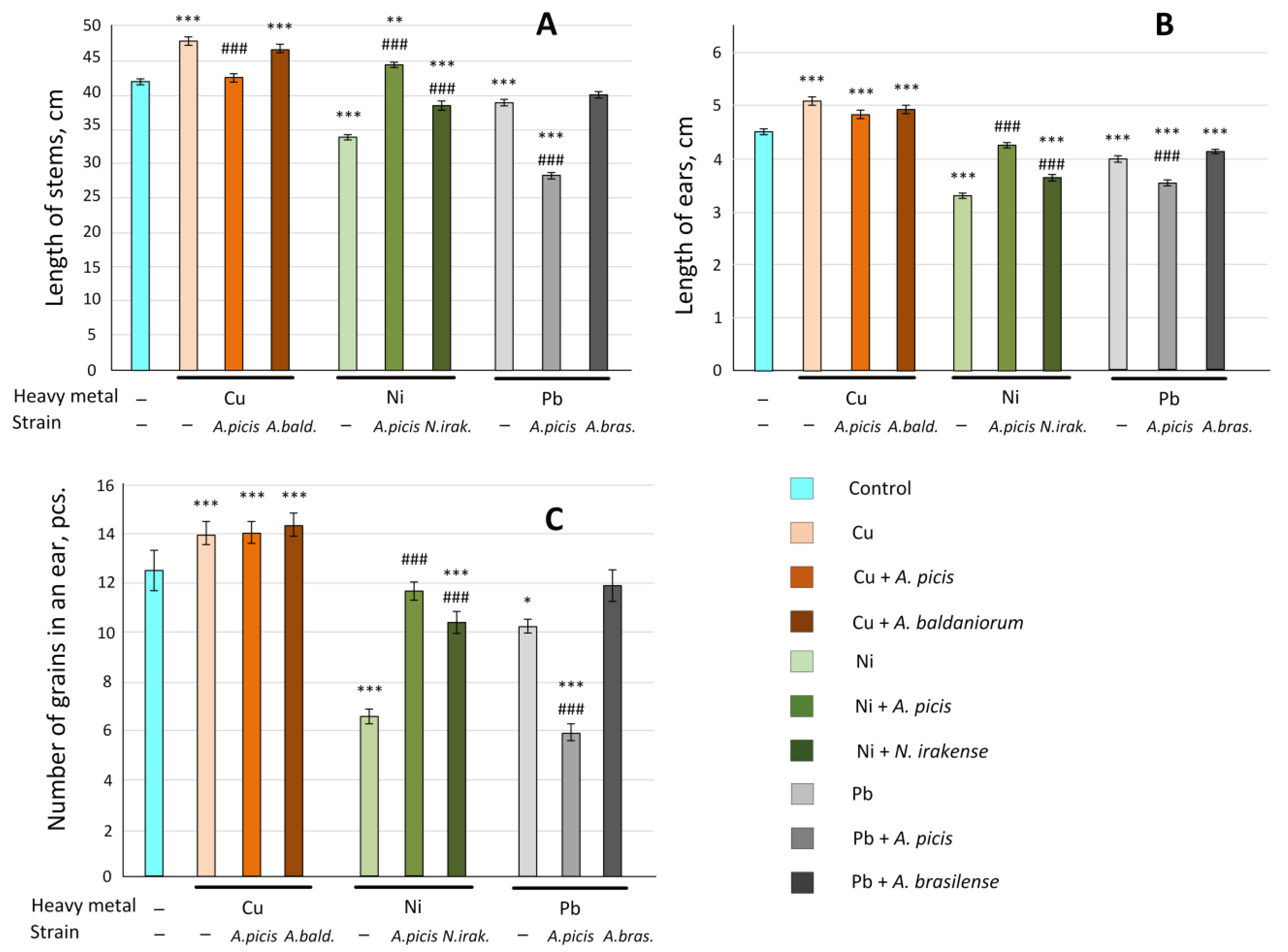 Microorganisms 13 00334 g008