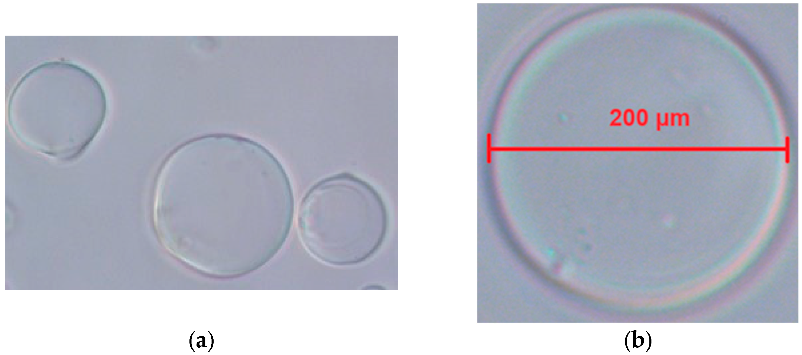 Microorganisms 13 00336 g003