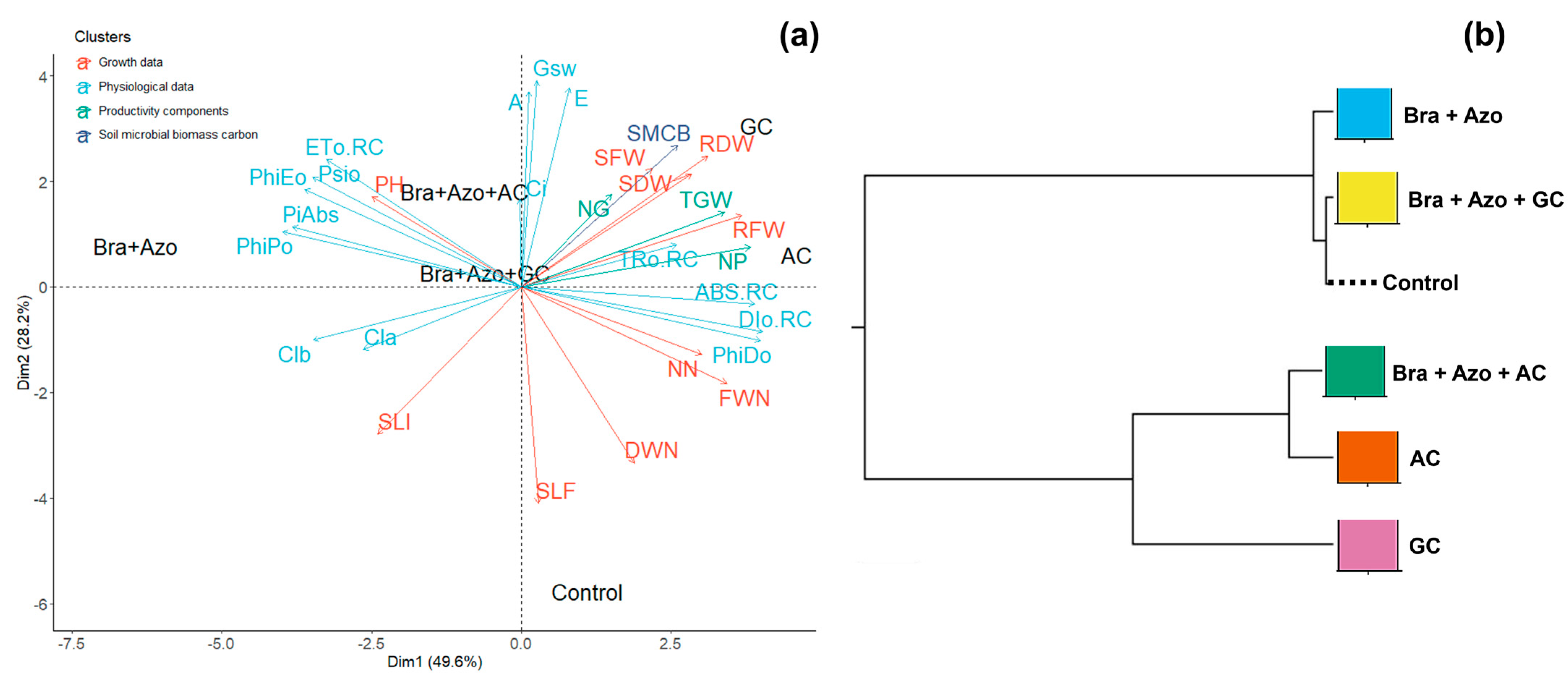 Microorganisms 13 00341 g010