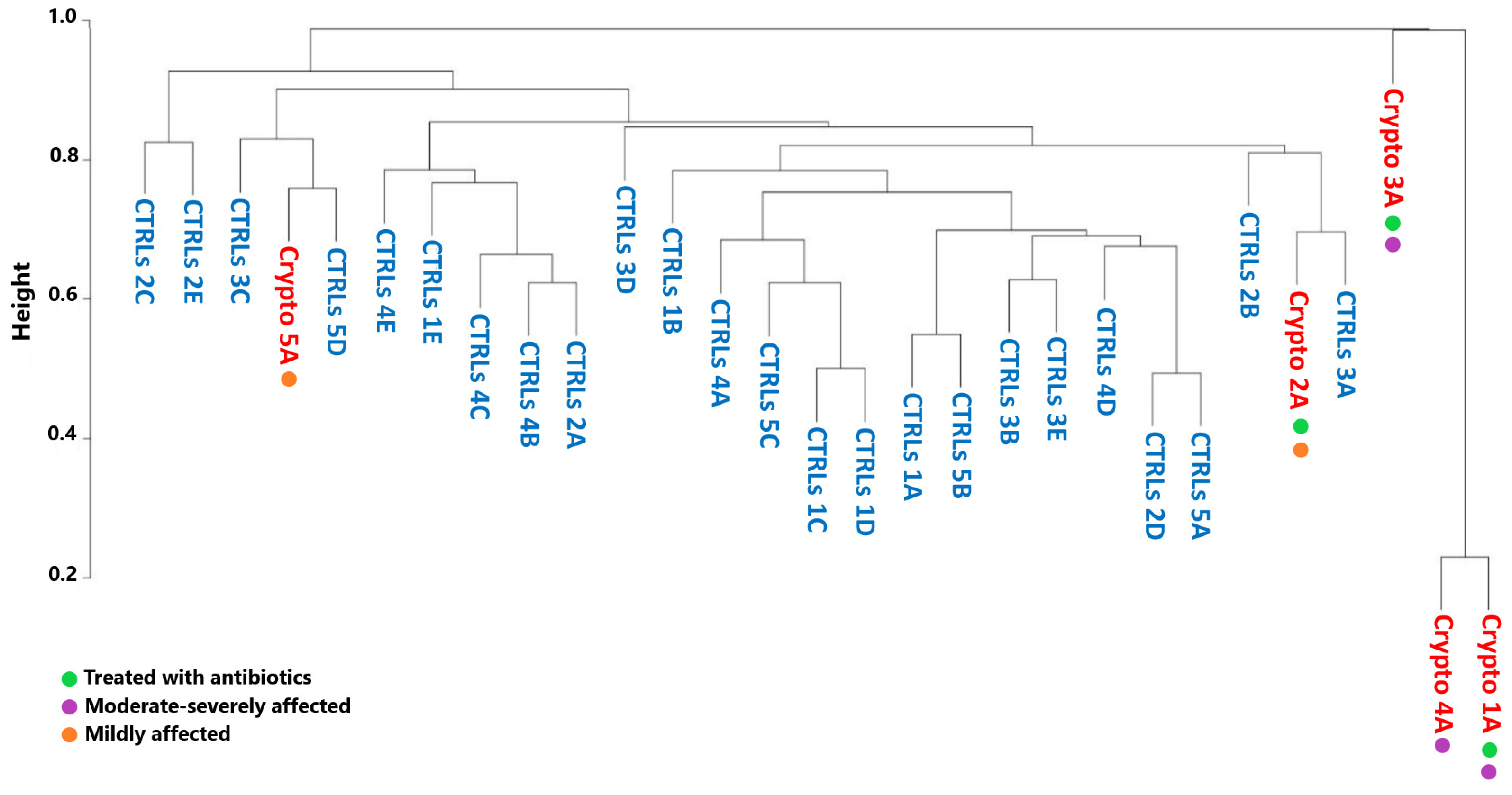 Microorganisms 13 00342 g004 Microorganisms 13 00342 g004