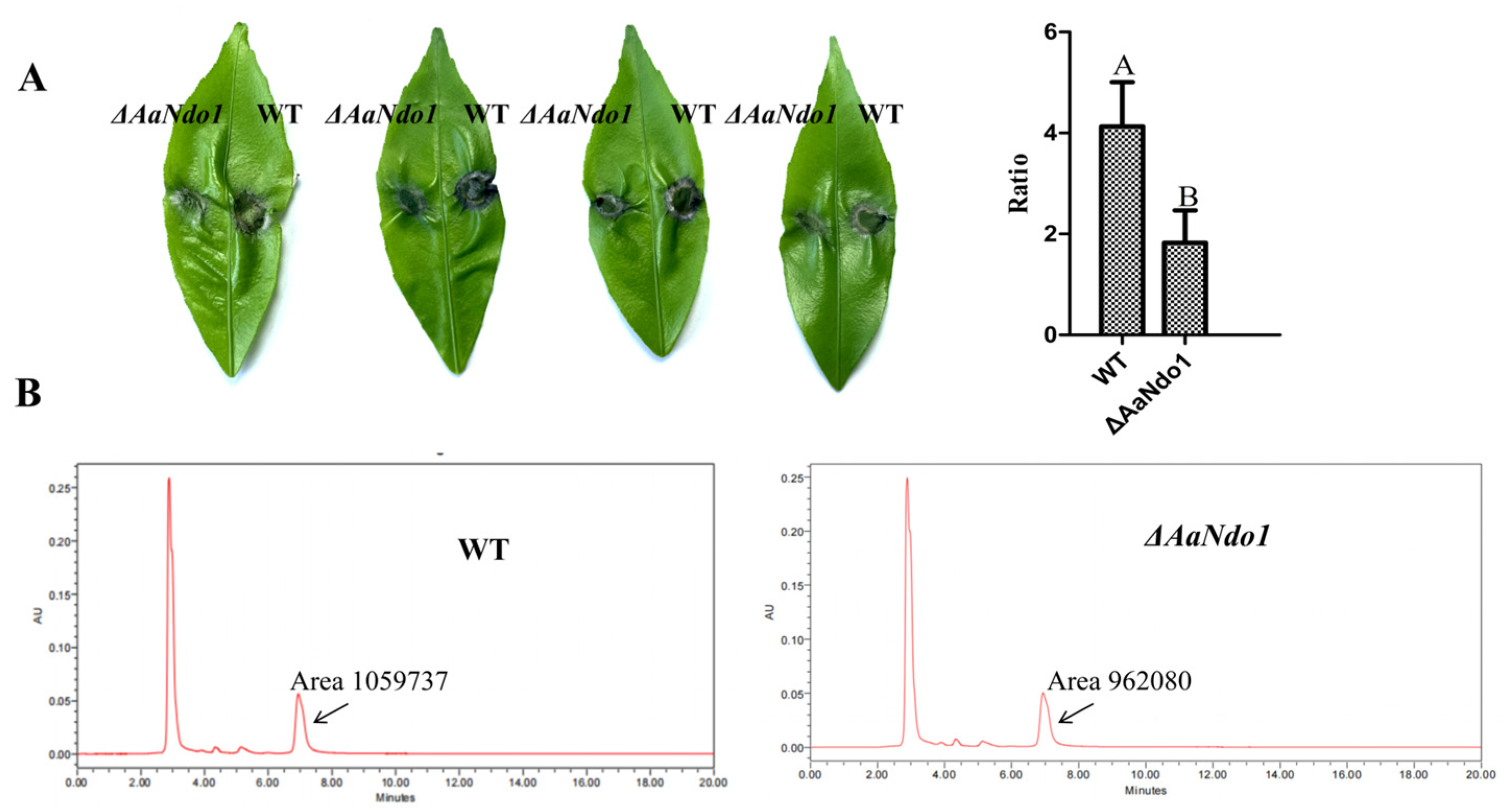 Microorganisms 13 00343 g007