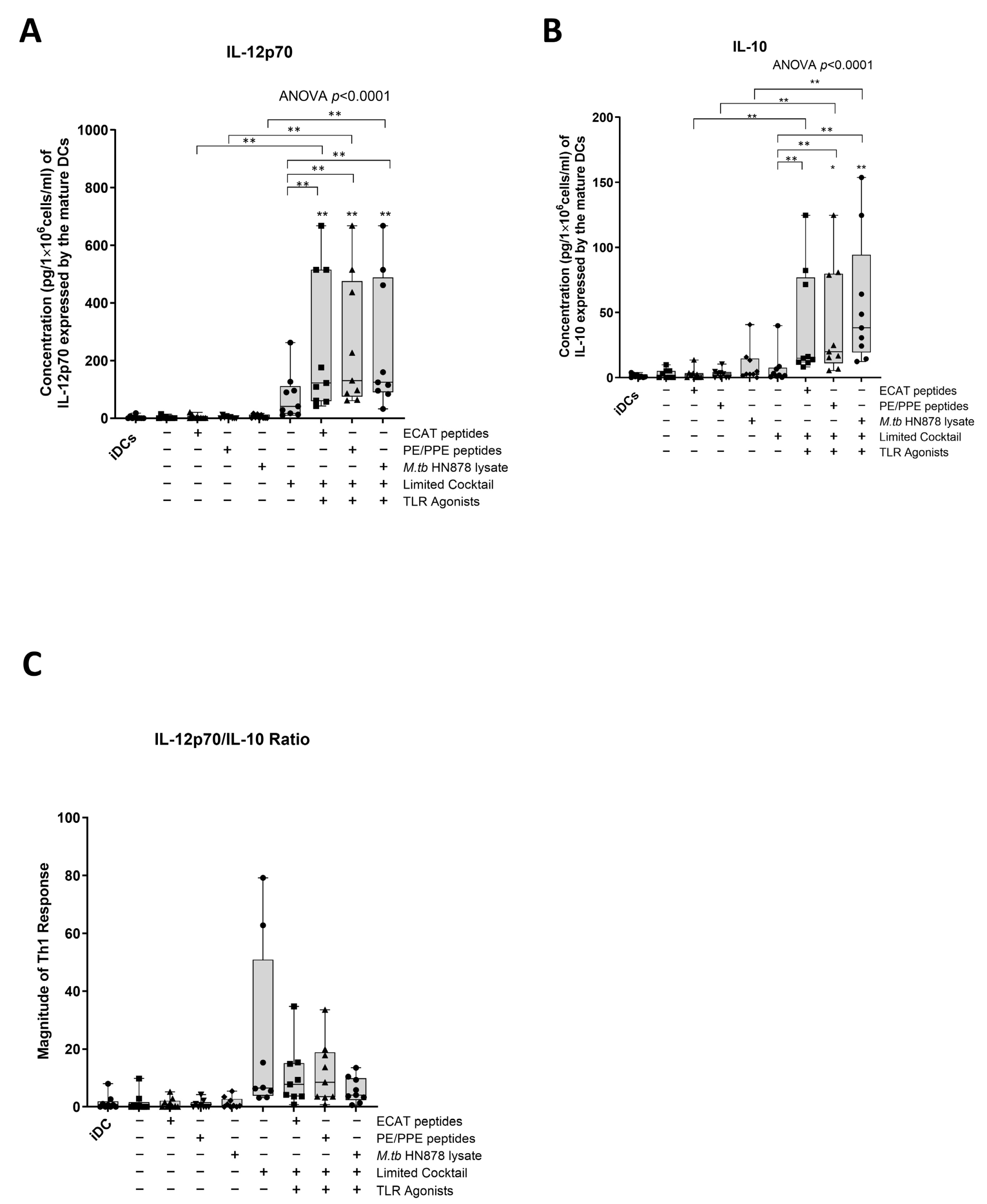 Microorganisms 13 00345 g004 Microorganisms 13 00345 g004