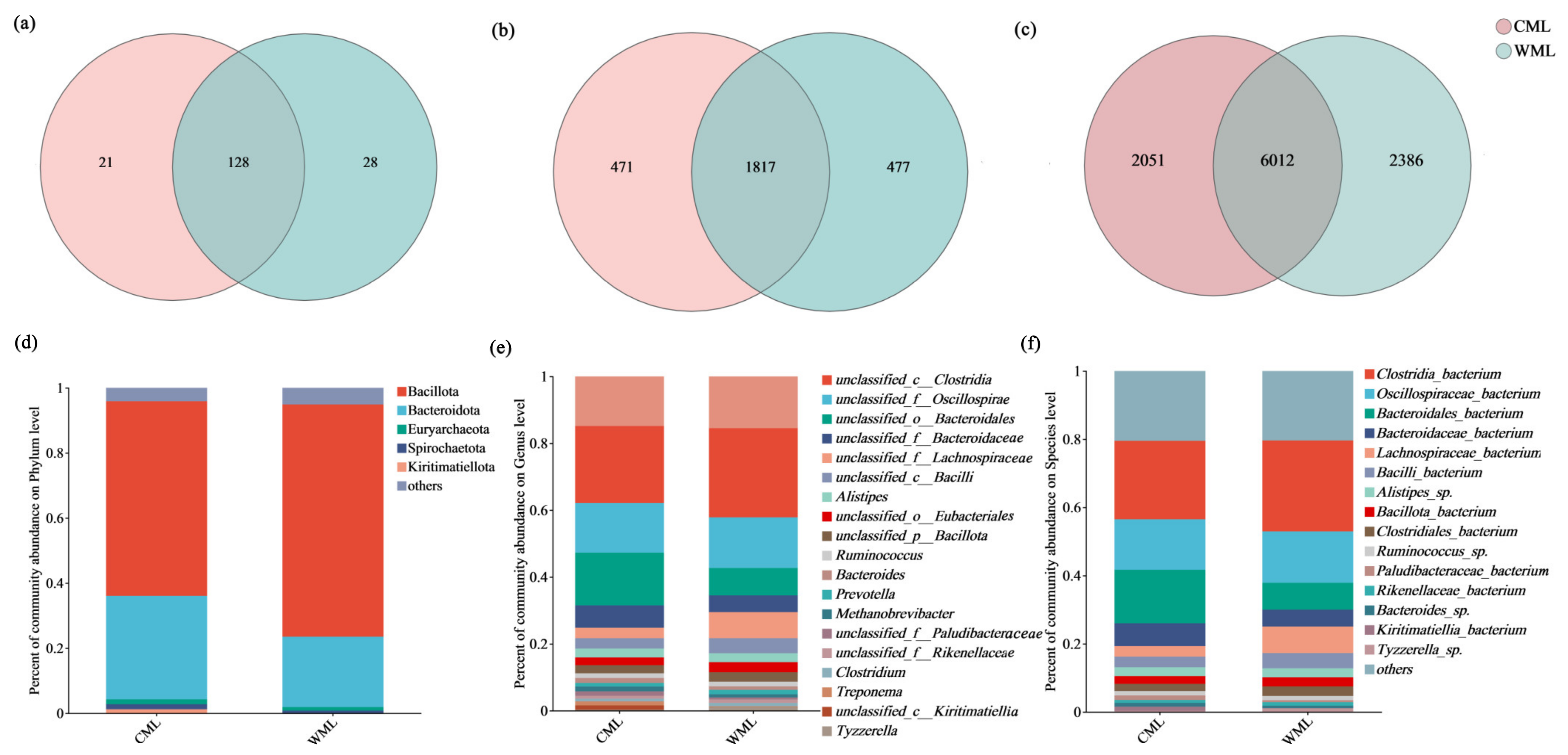 Microorganisms 13 00348 g001