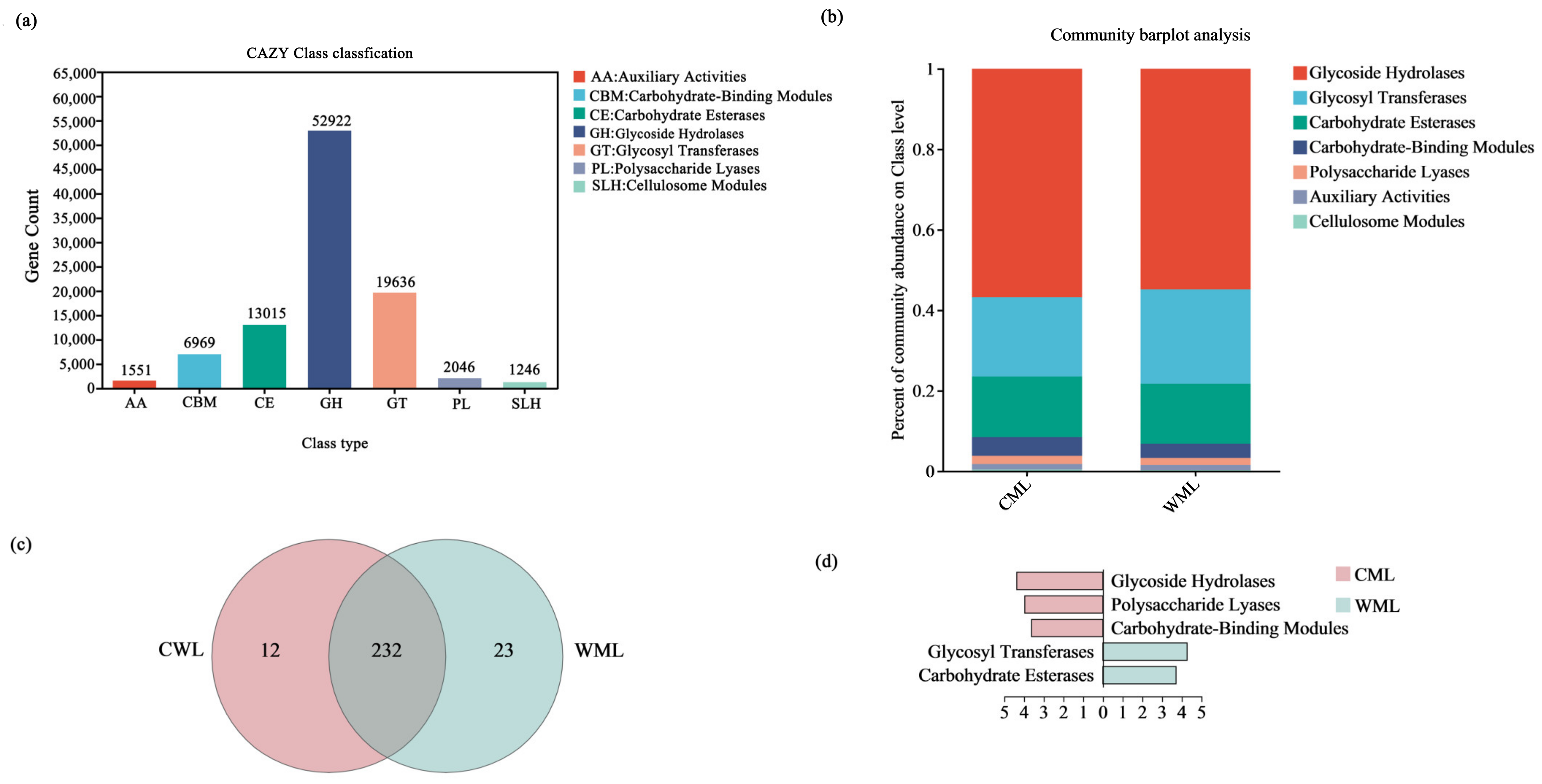 Microorganisms 13 00348 g003