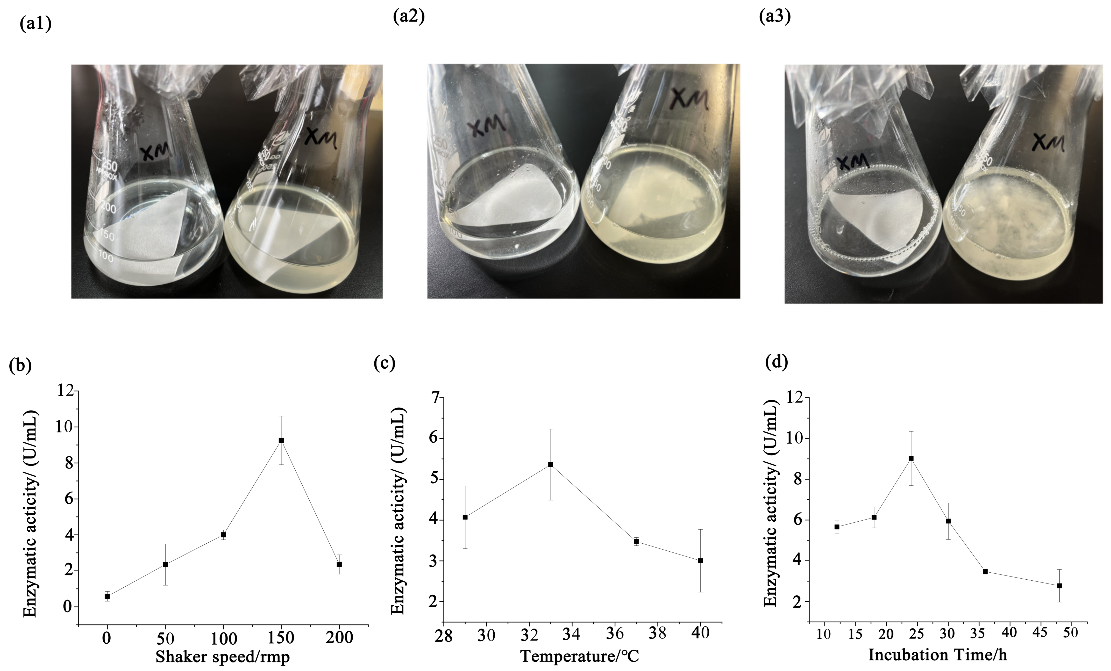 Microorganisms 13 00348 g005