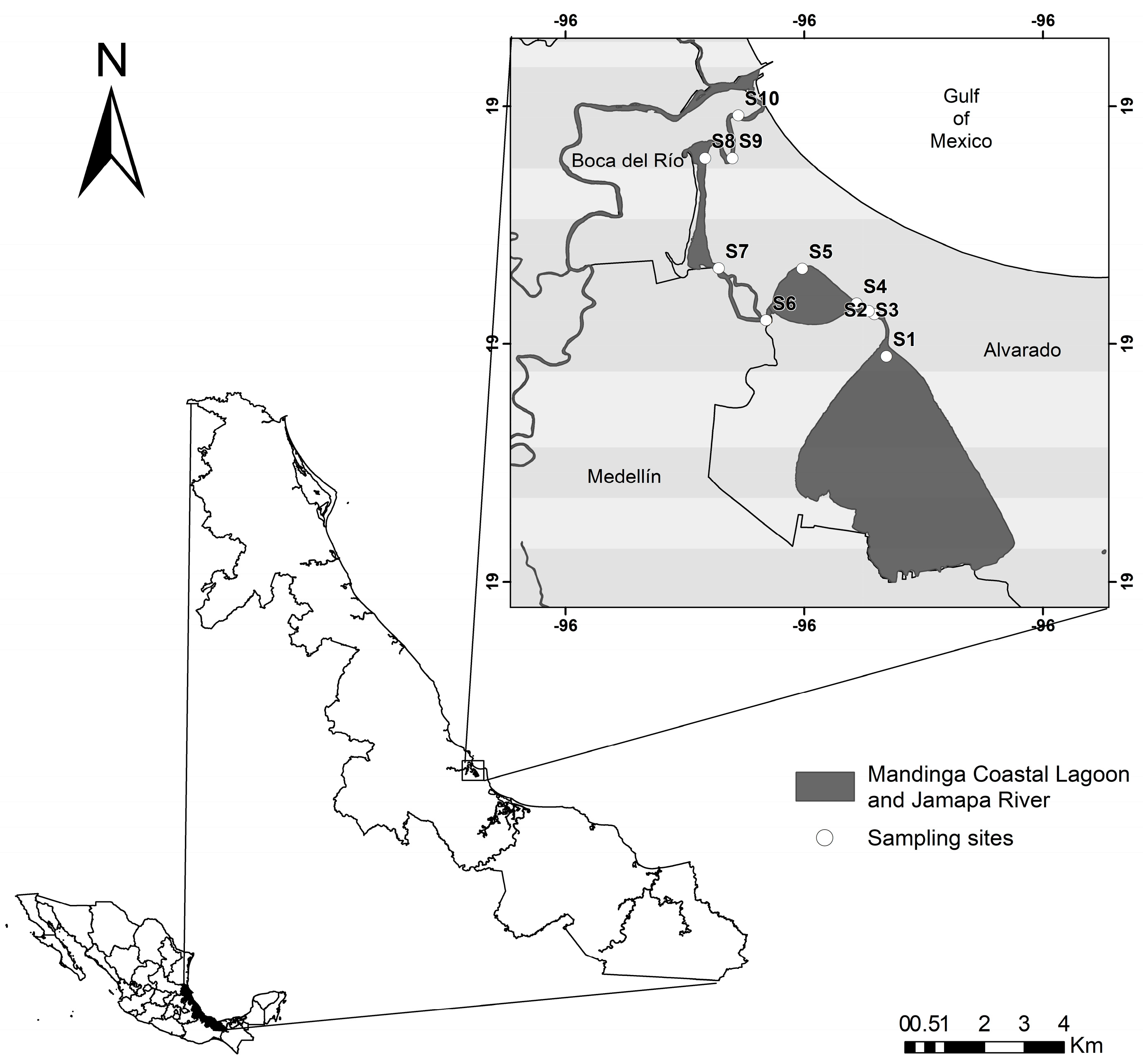 Microorganisms 13 00352 g001