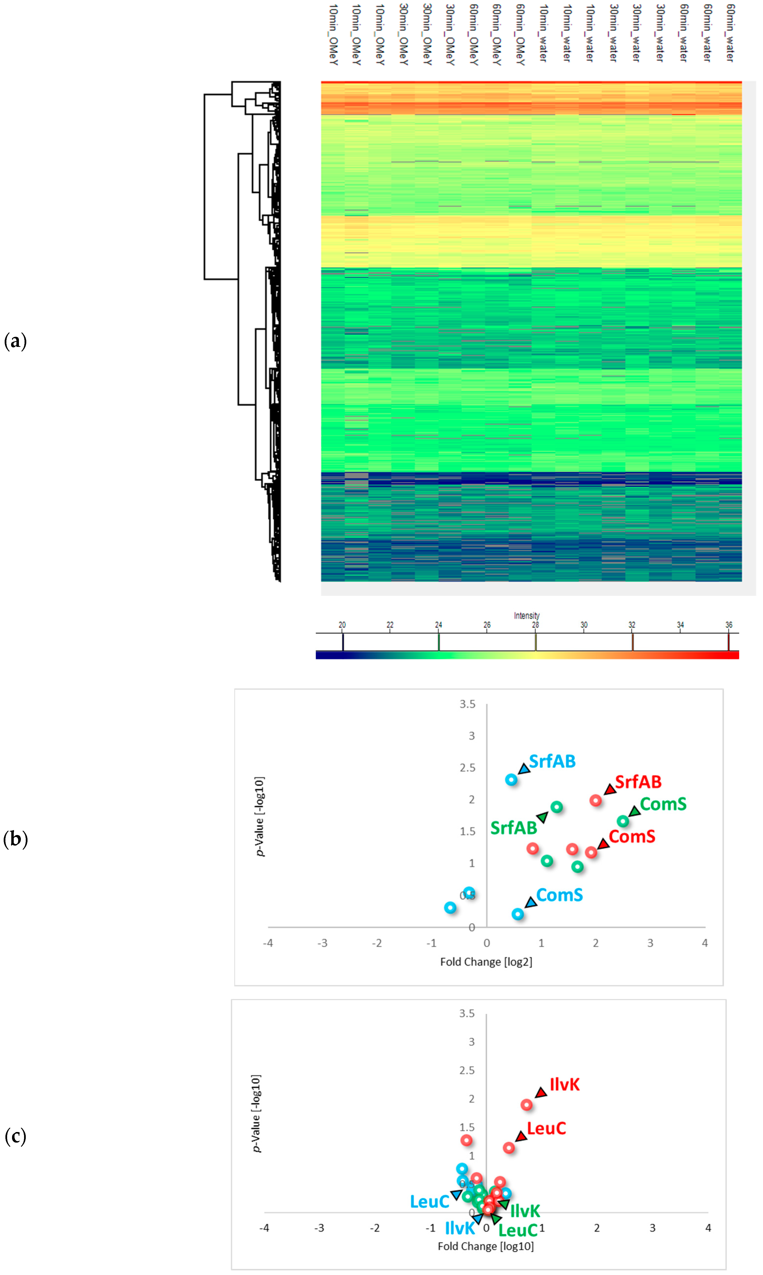 Microorganisms 13 00353 g004a