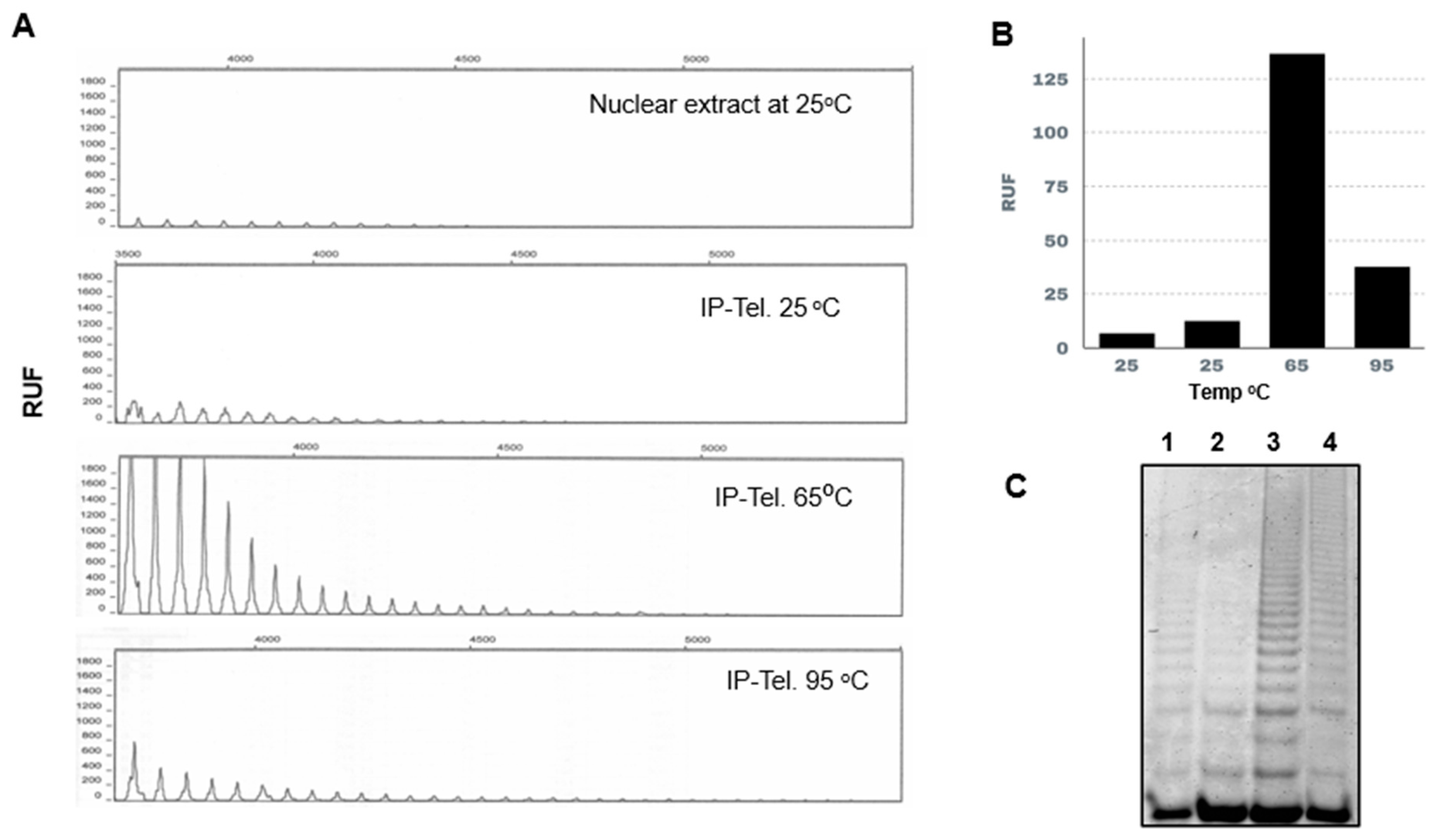 Microorganisms 13 00357 g004 Microorganisms 13 00357 g004
