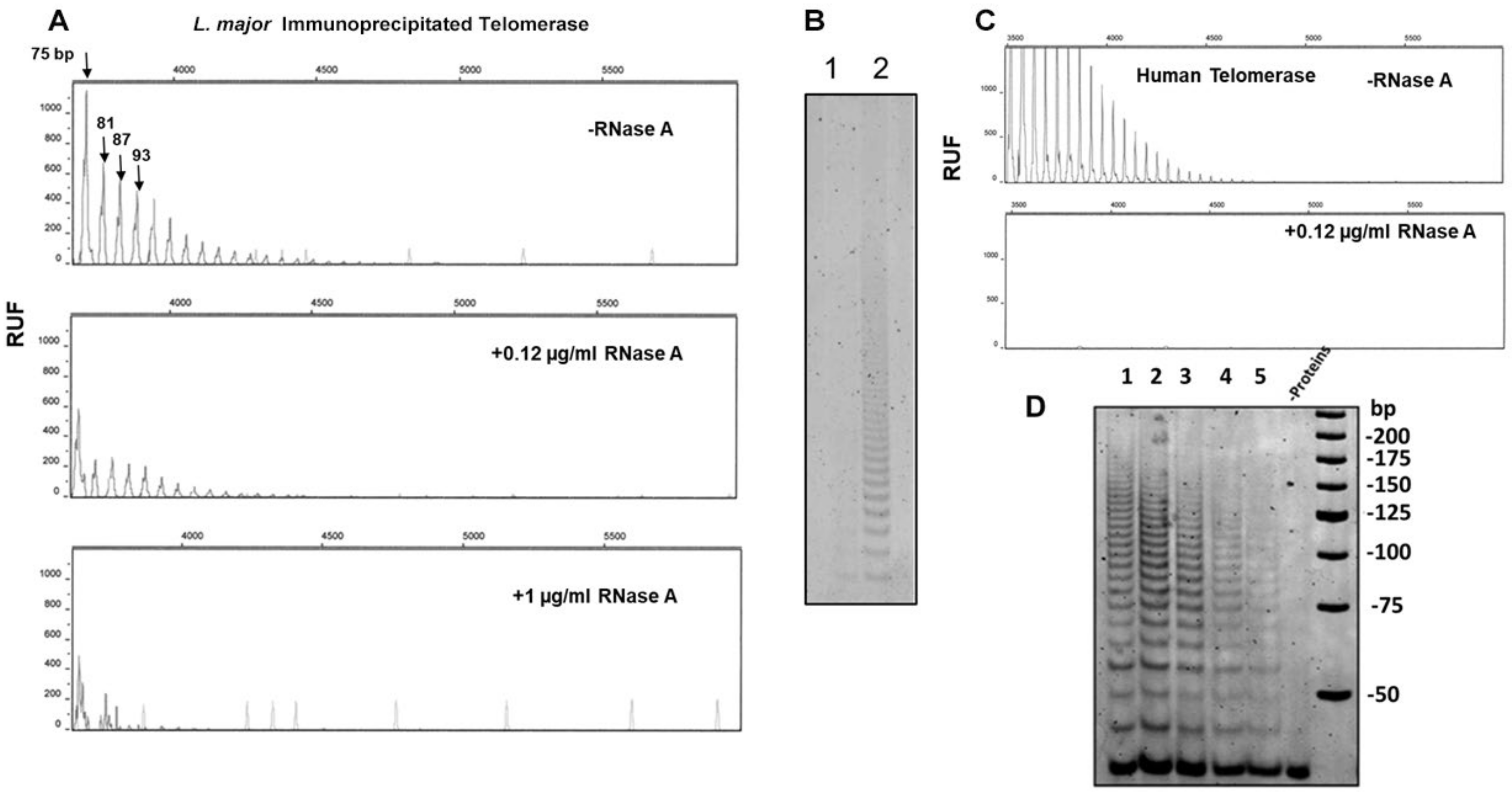 Microorganisms 13 00357 g005 Microorganisms 13 00357 g005