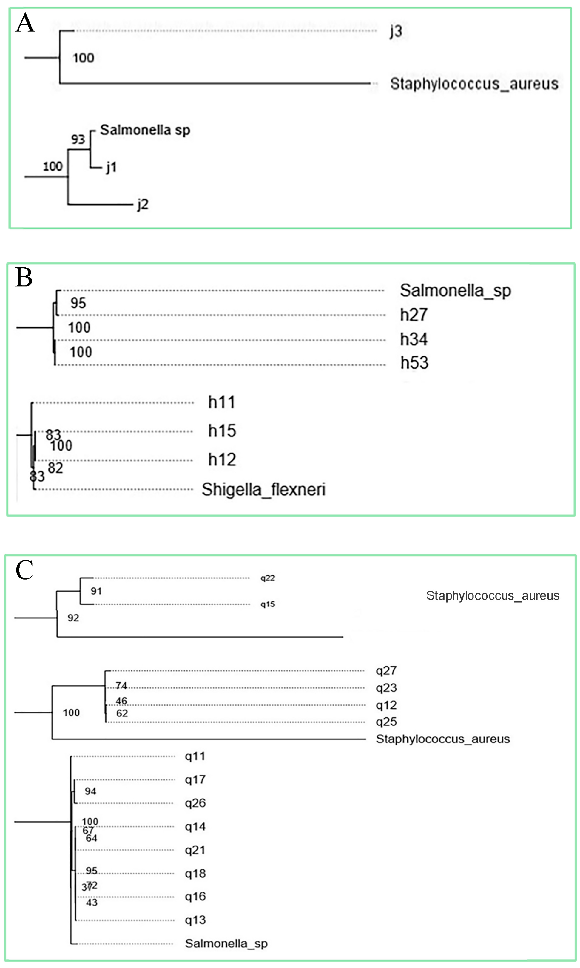 Microorganisms 13 00361 g002