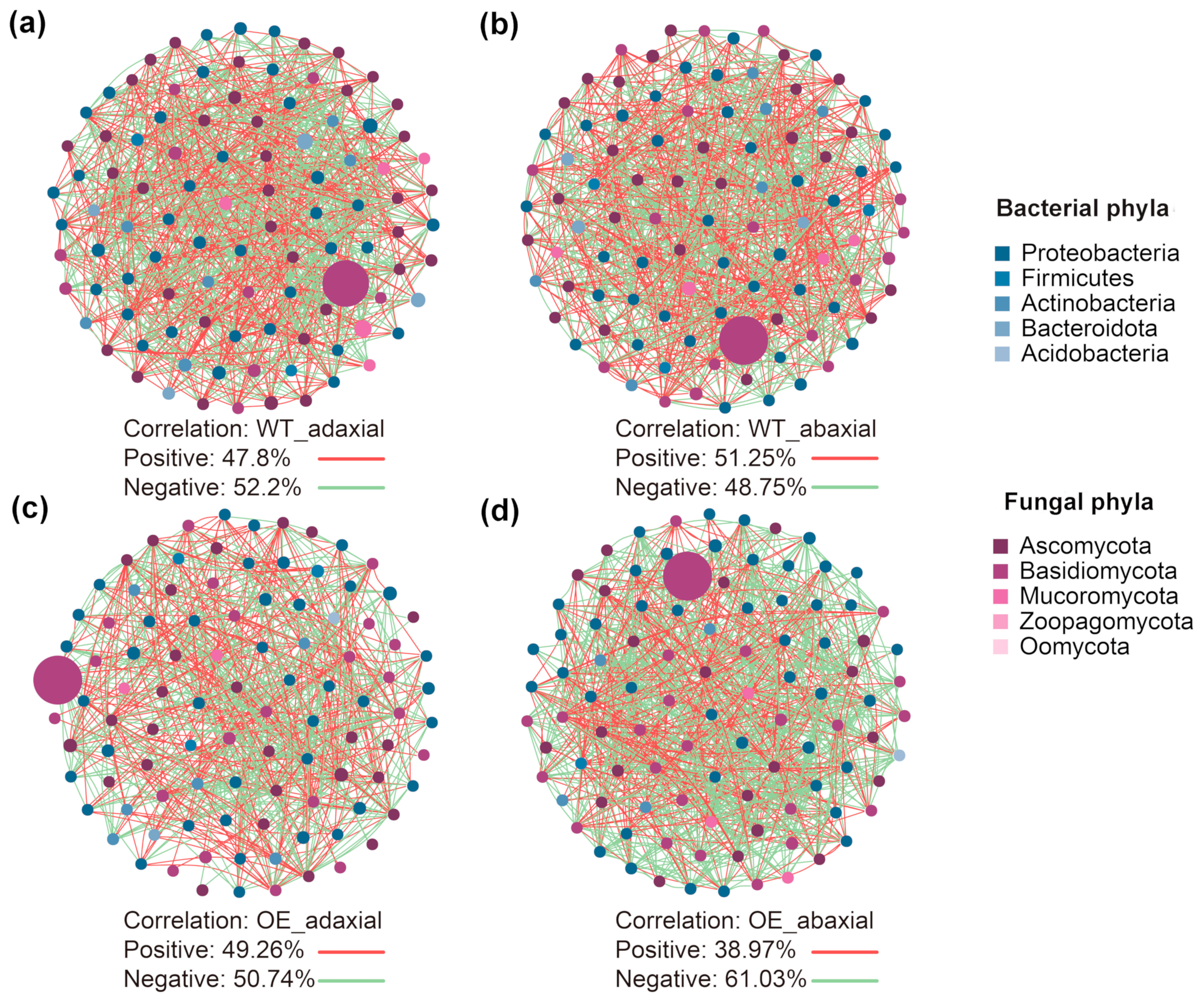 Microorganisms 13 00362 g002 Microorganisms 13 00362 g002