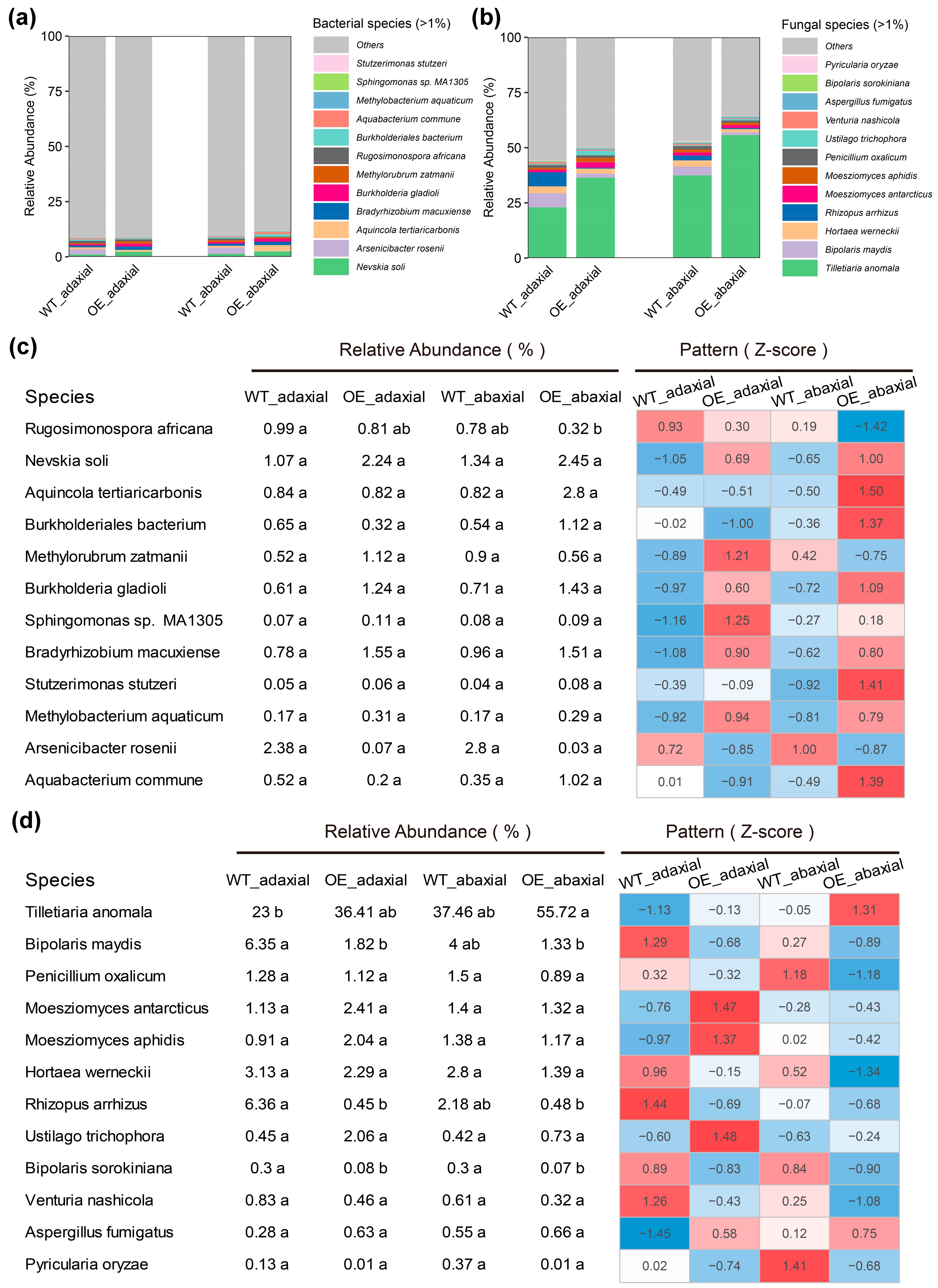 Microorganisms 13 00362 g003 Microorganisms 13 00362 g003