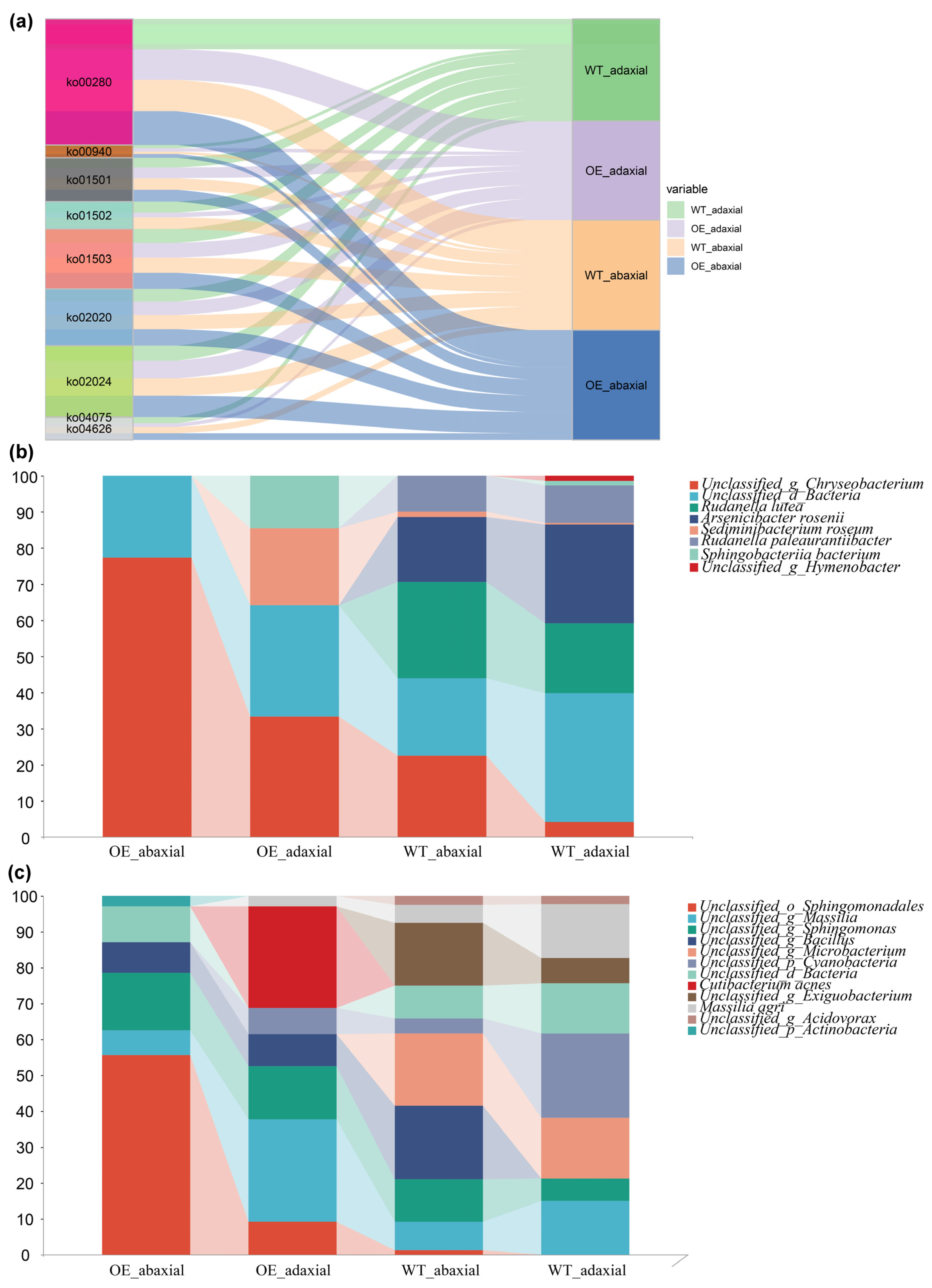 Microorganisms 13 00362 g005 Microorganisms 13 00362 g005