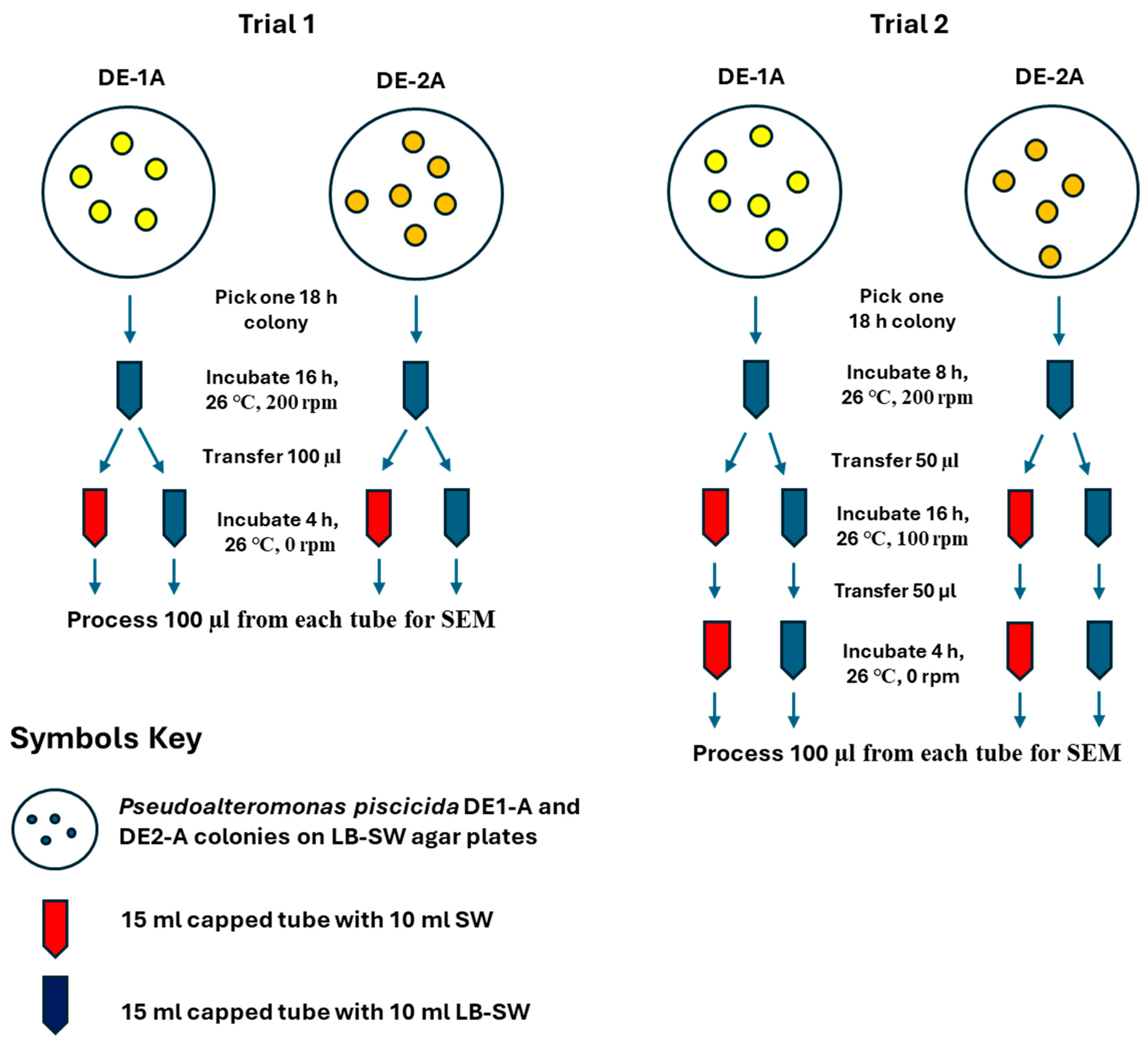 Microorganisms 13 00365 sch001
