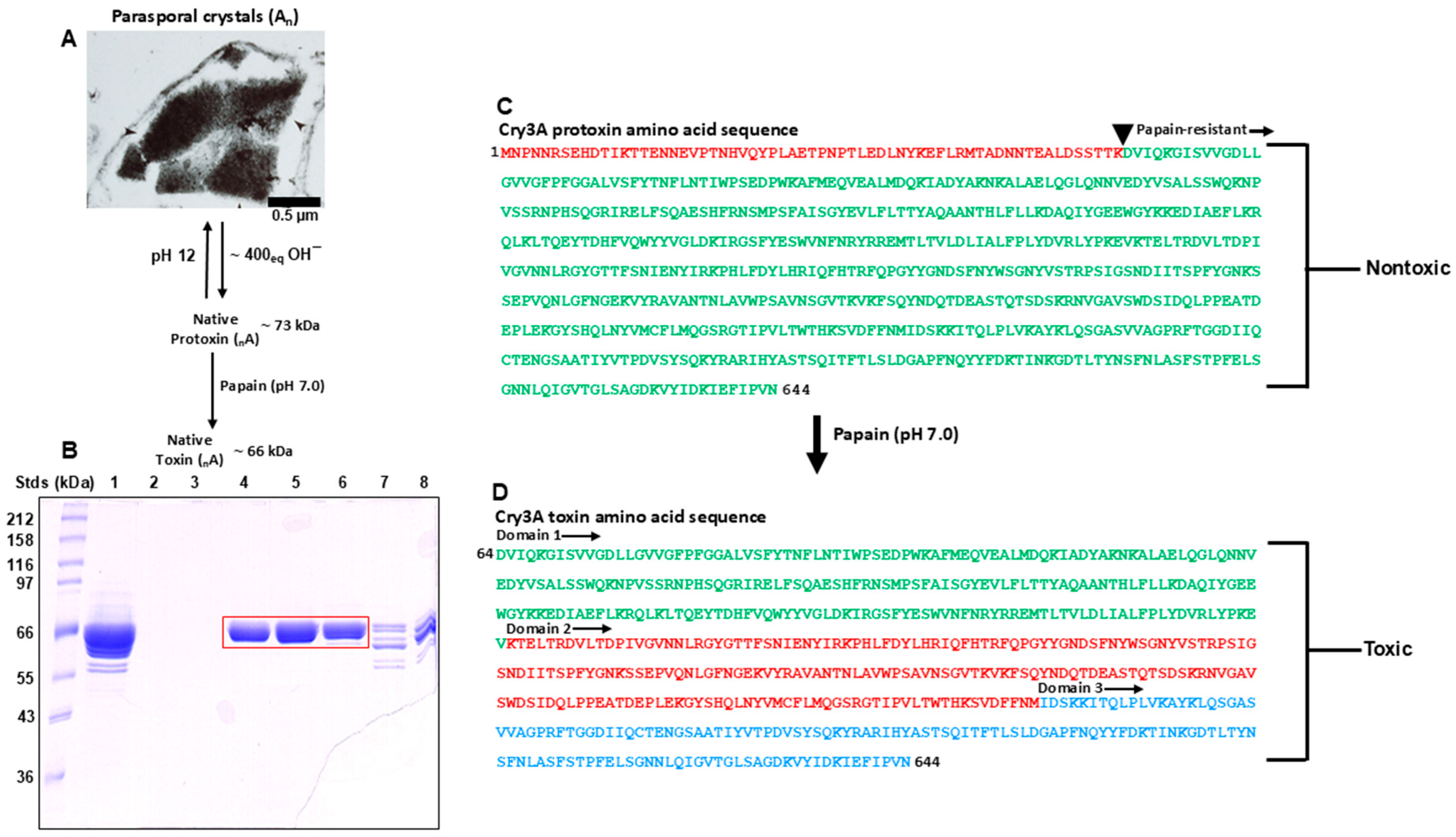 Microorganisms 13 00371 g001