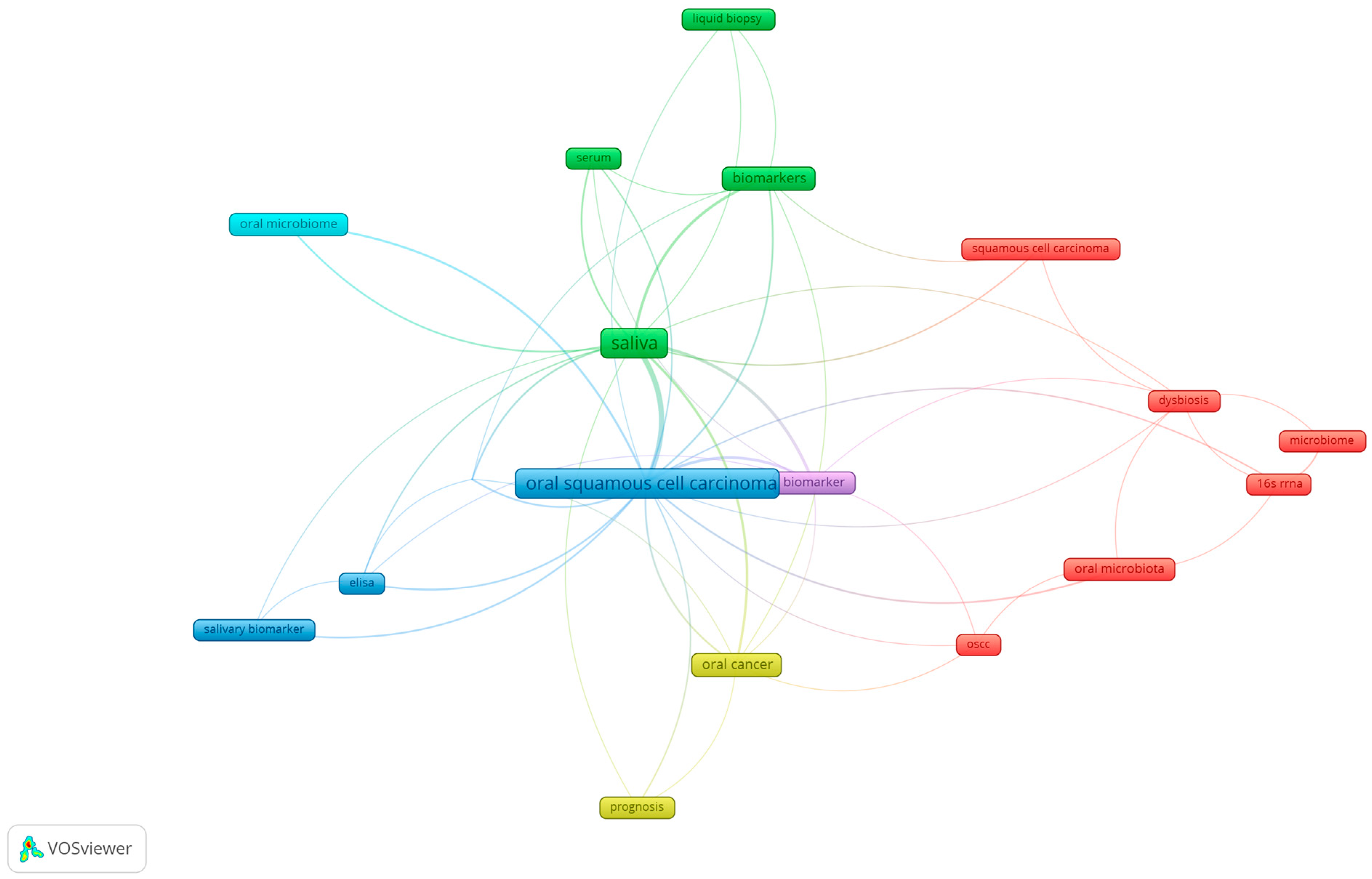 Microorganisms 13 00373 g008