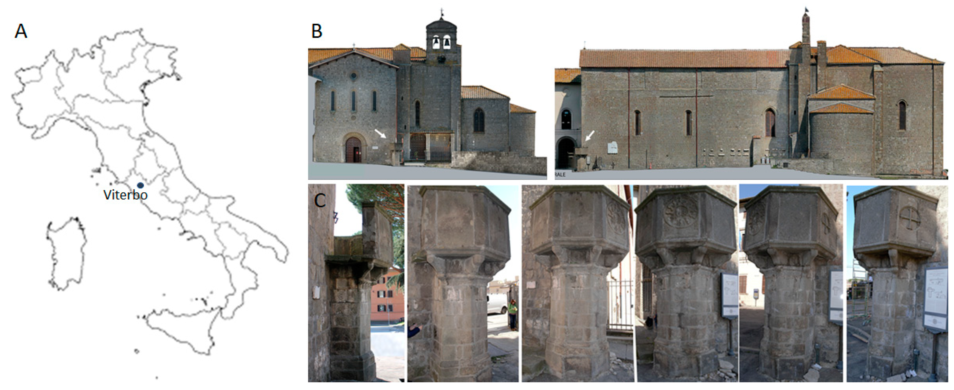 Microorganisms 13 00375 g001