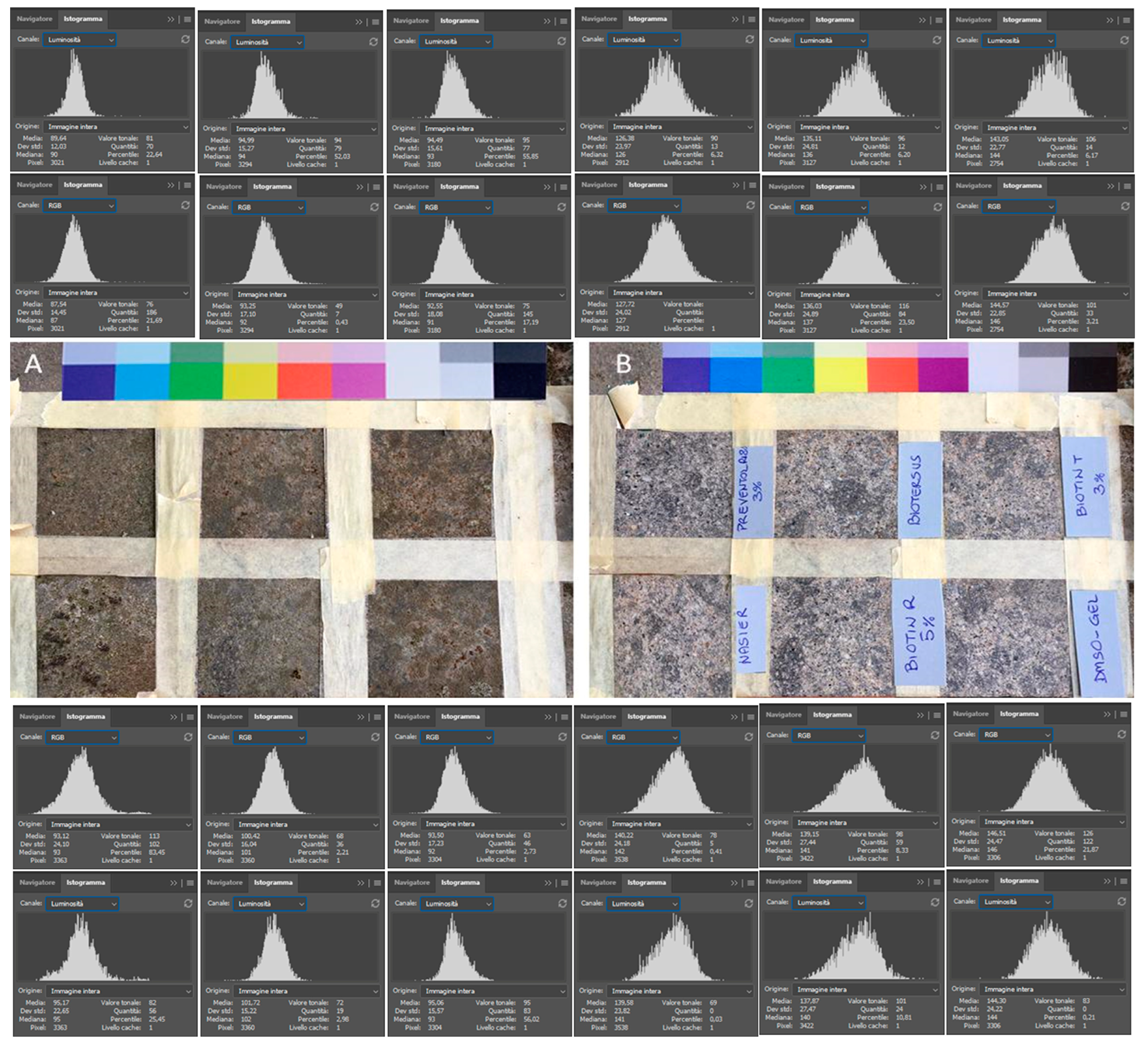 Microorganisms 13 00375 g005