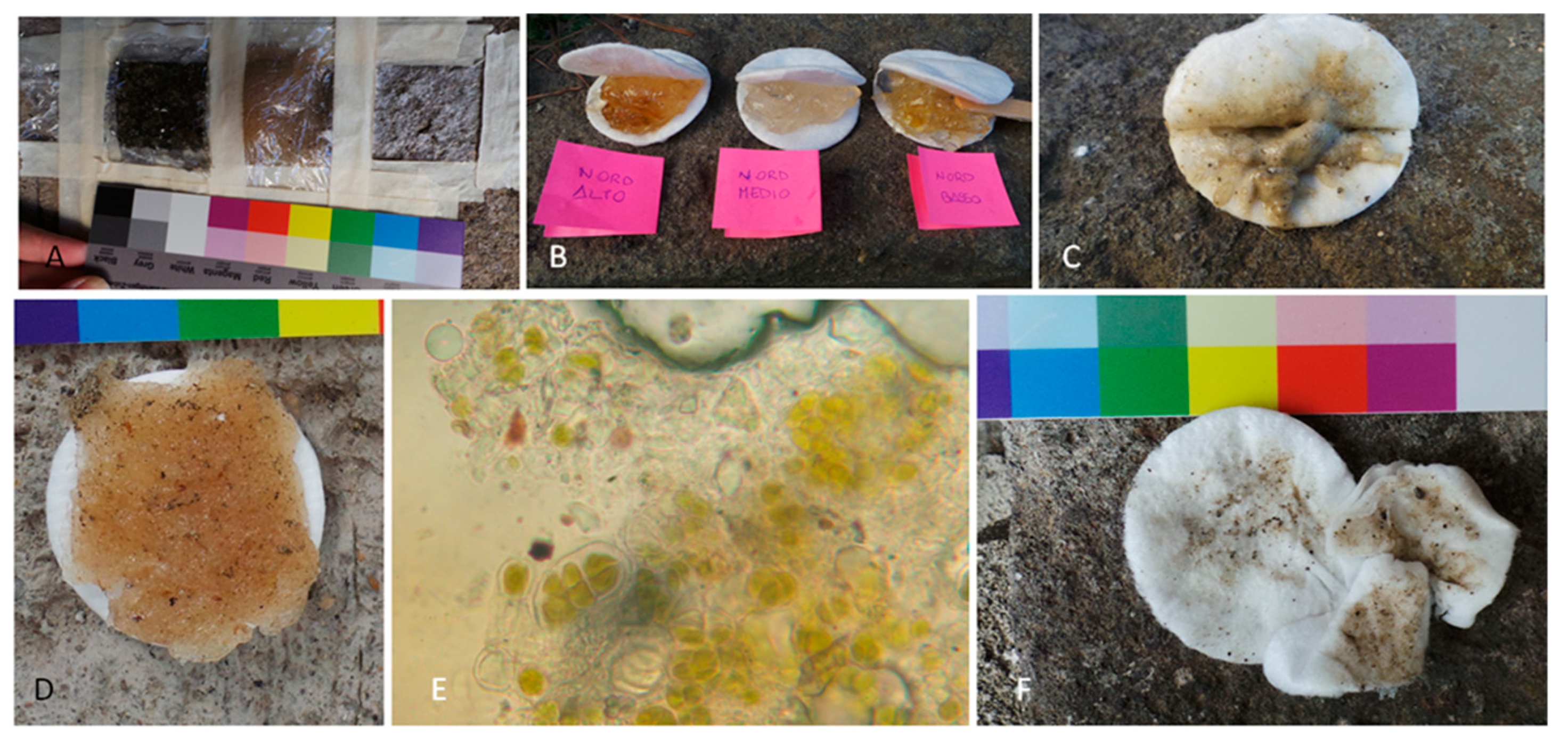 Microorganisms 13 00375 g007