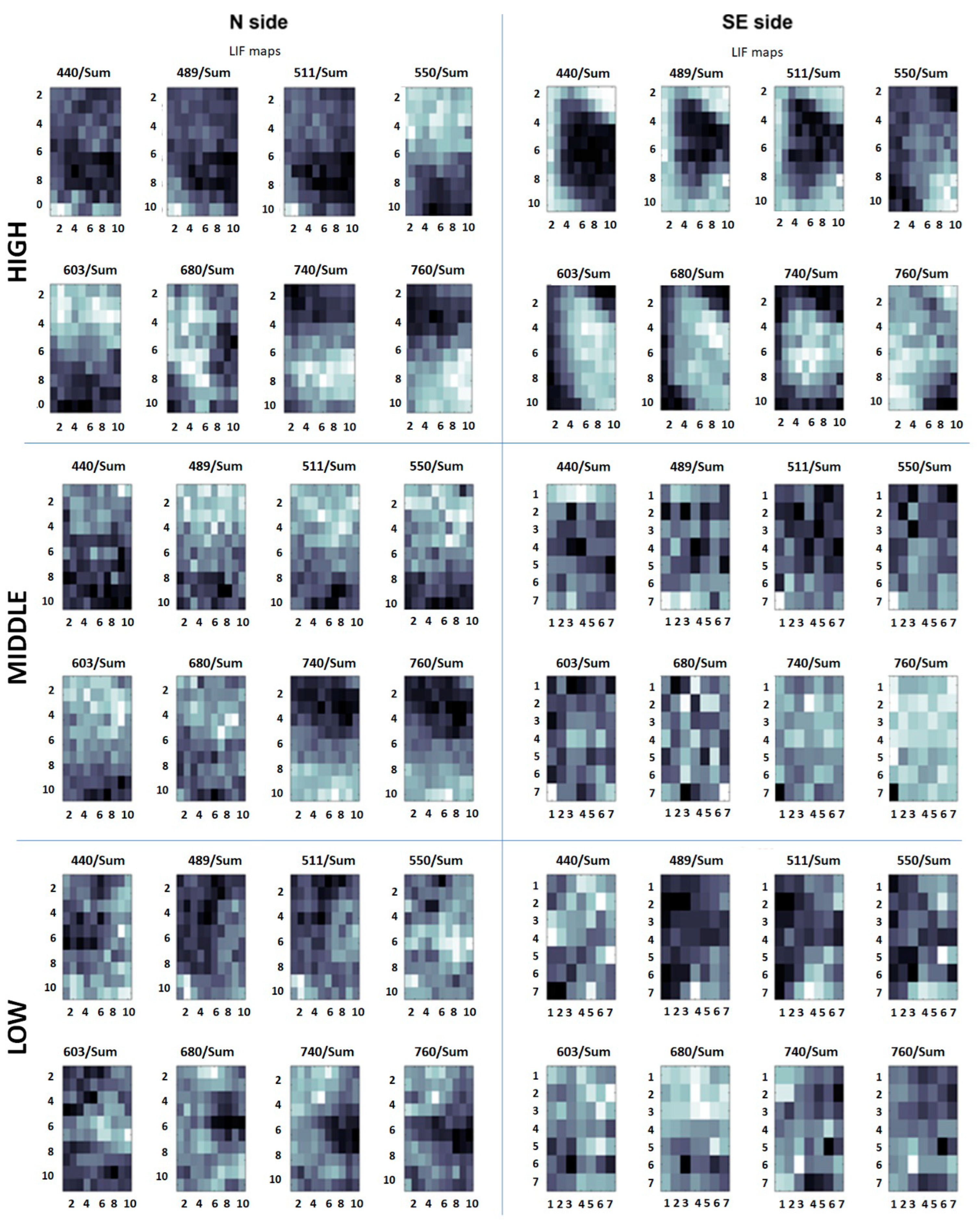 Microorganisms 13 00375 g010