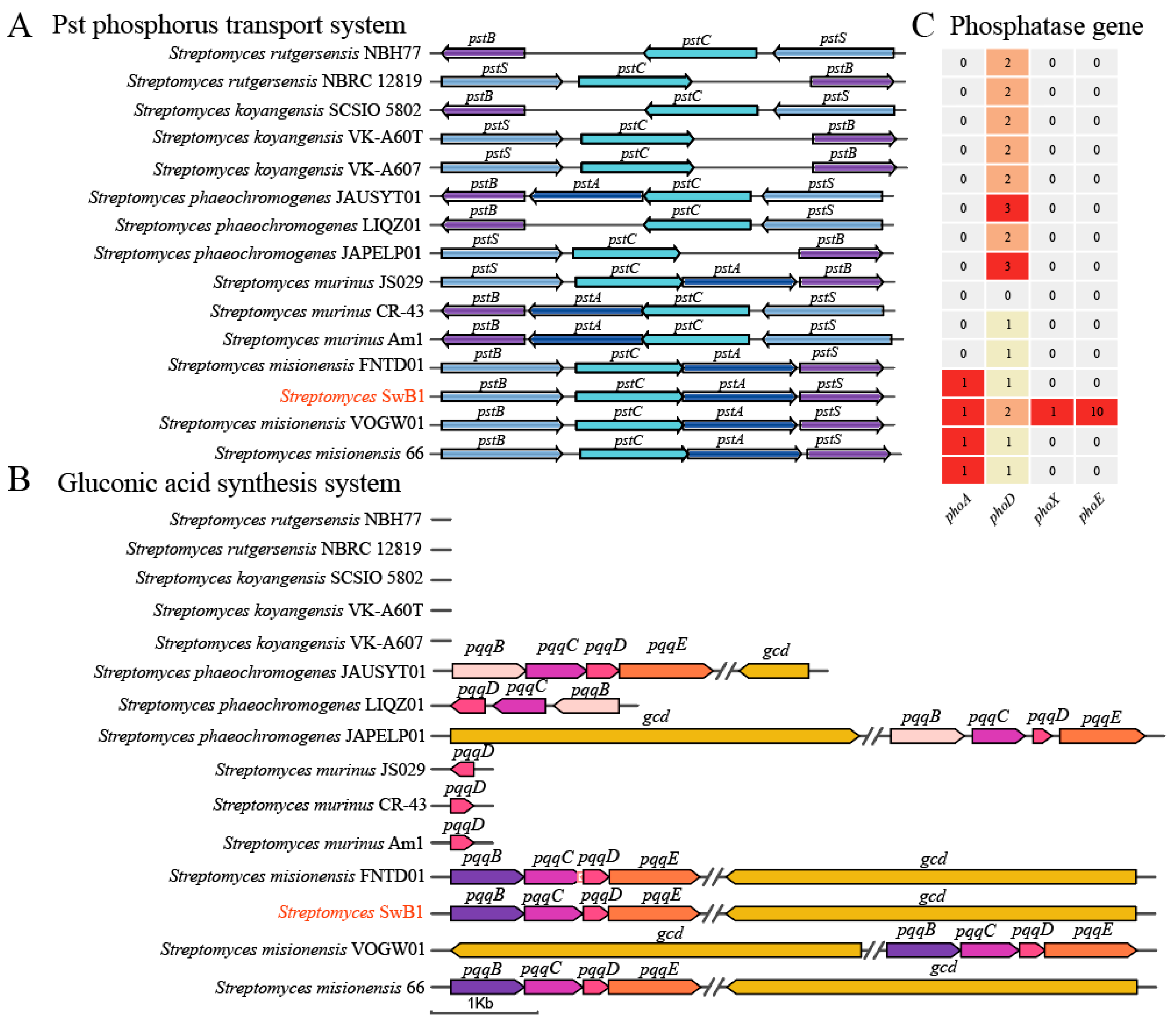 Microorganisms 13 00378 g005