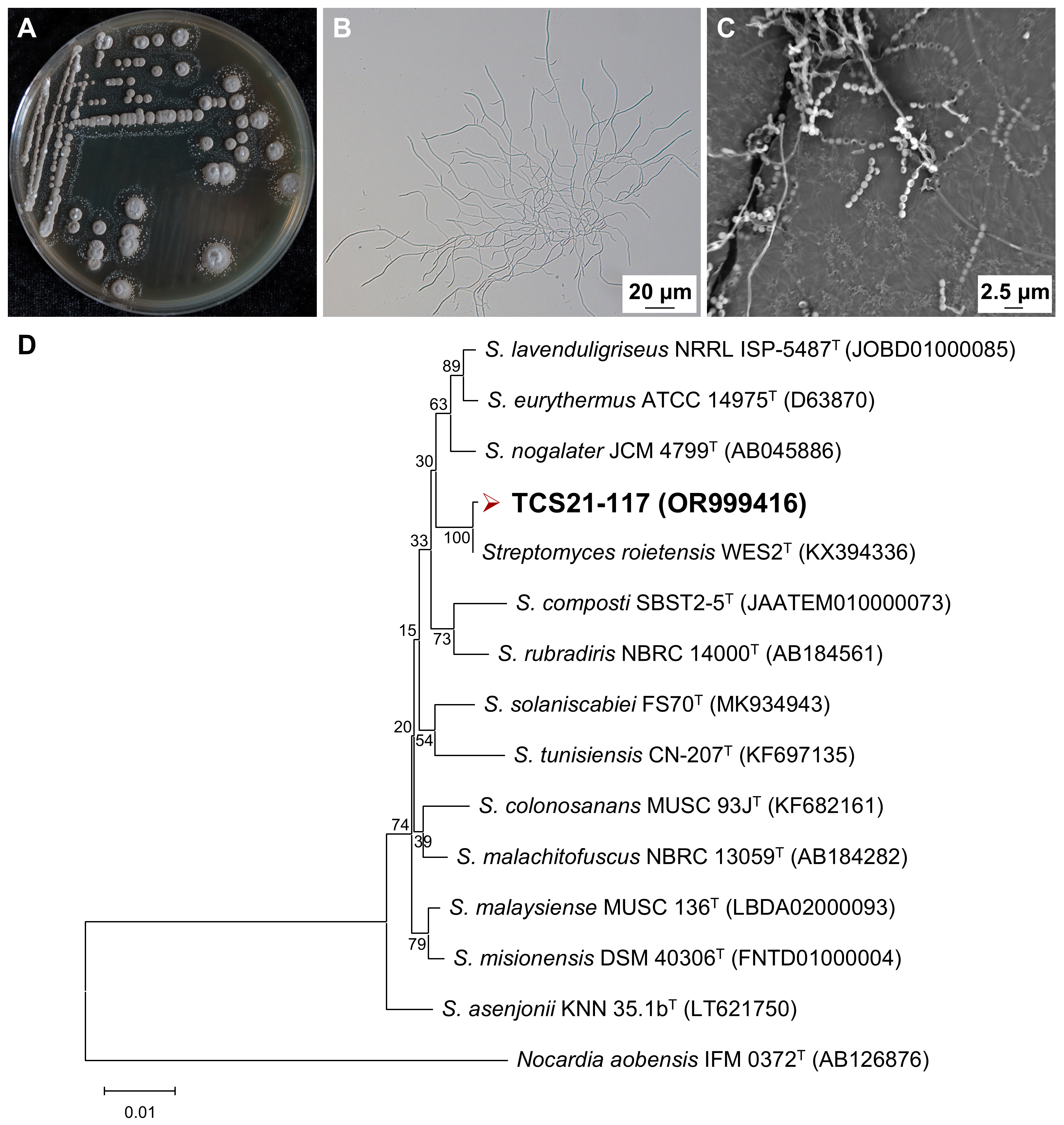 Microorganisms 13 00379 g005