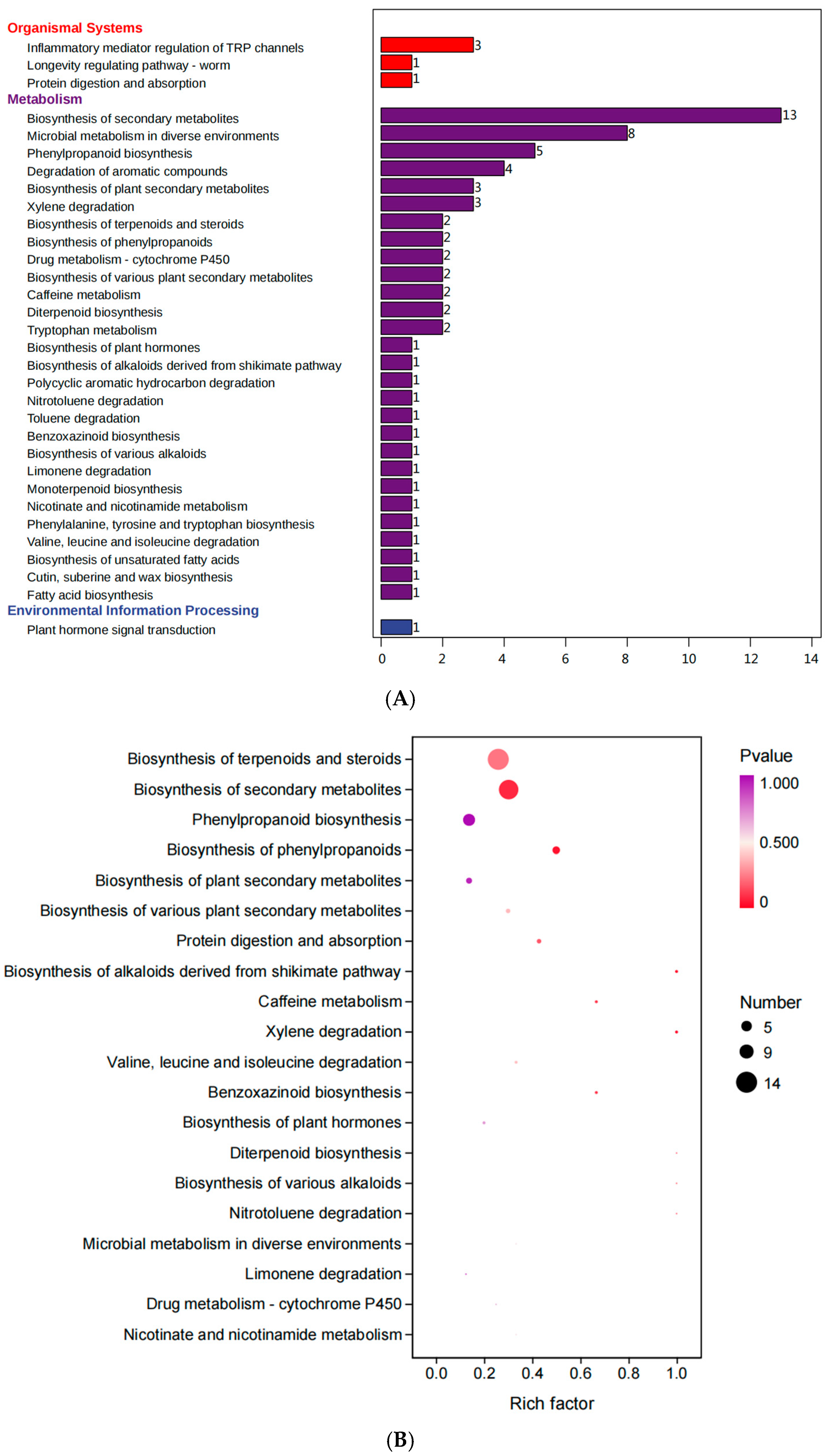Microorganisms 13 00381 g007