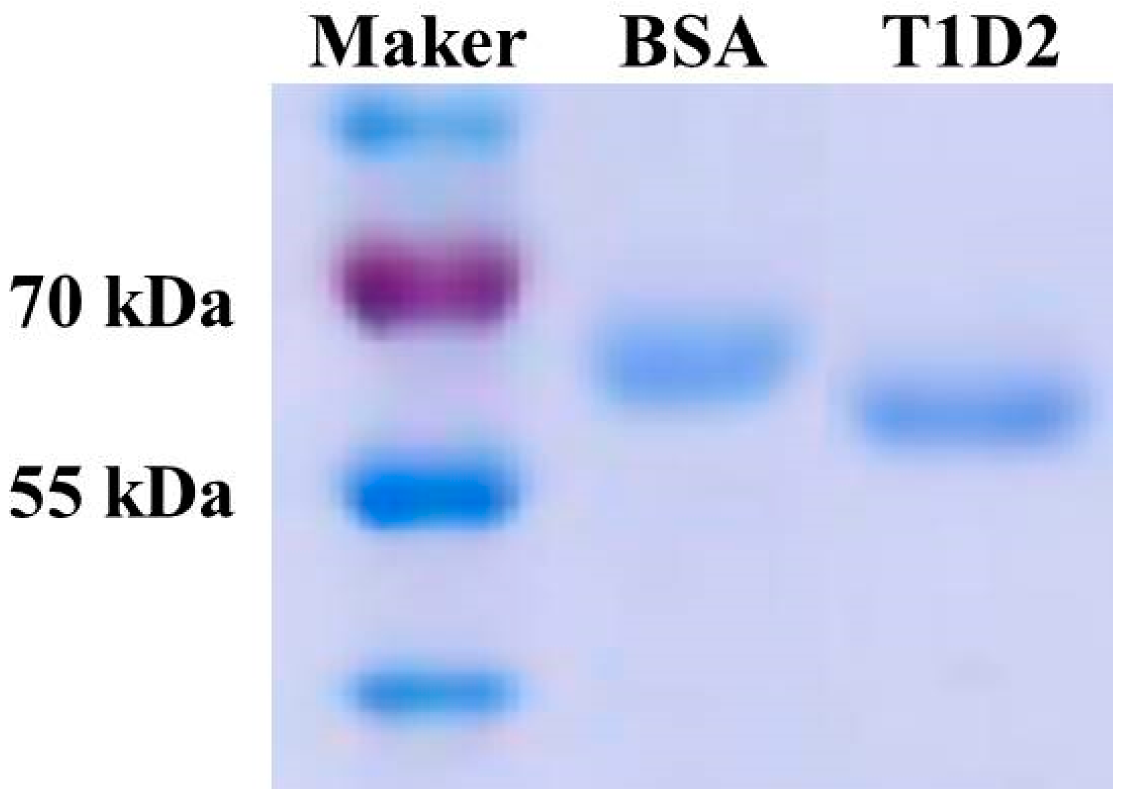 Microorganisms 13 00382 g002