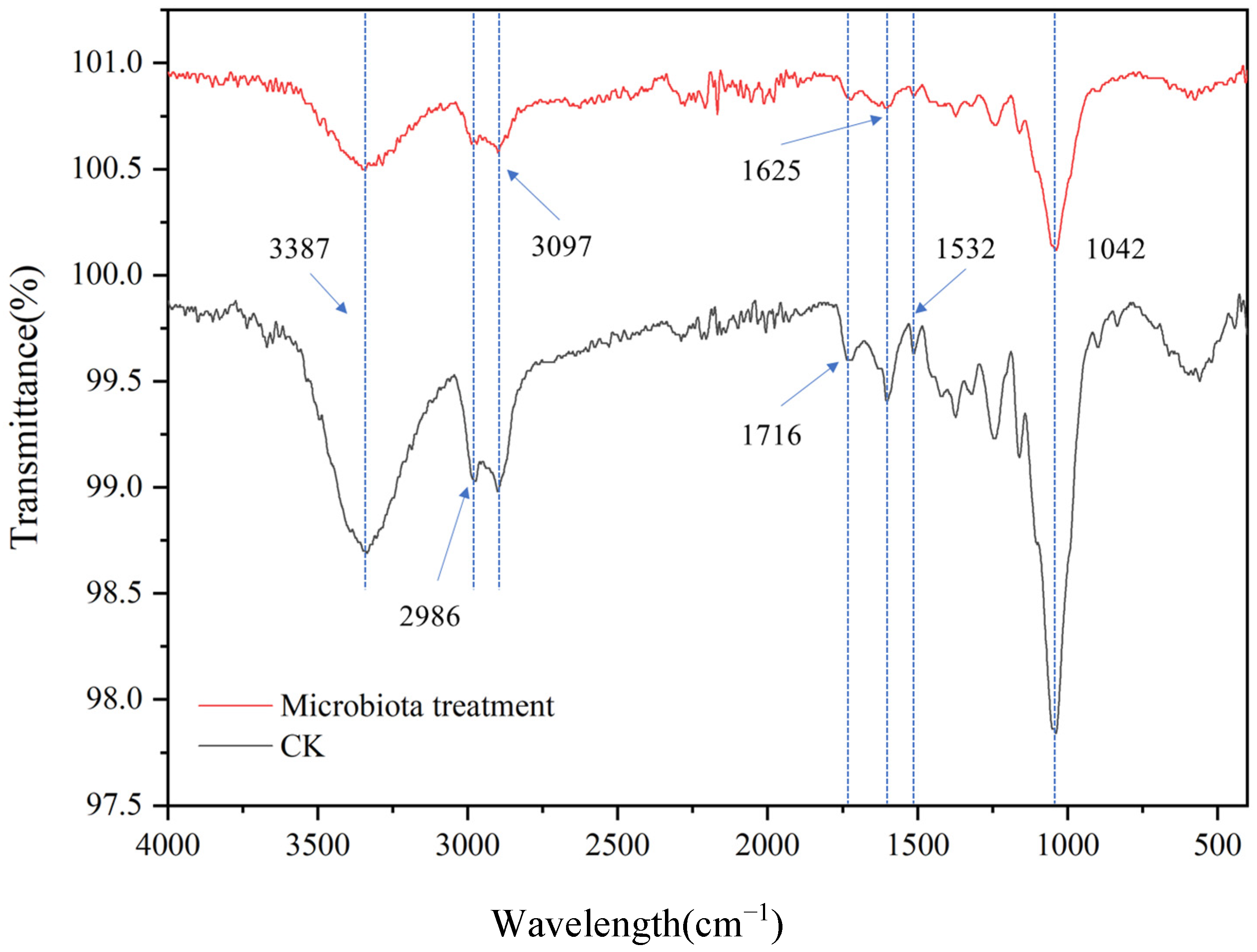Microorganisms 13 00385 g008