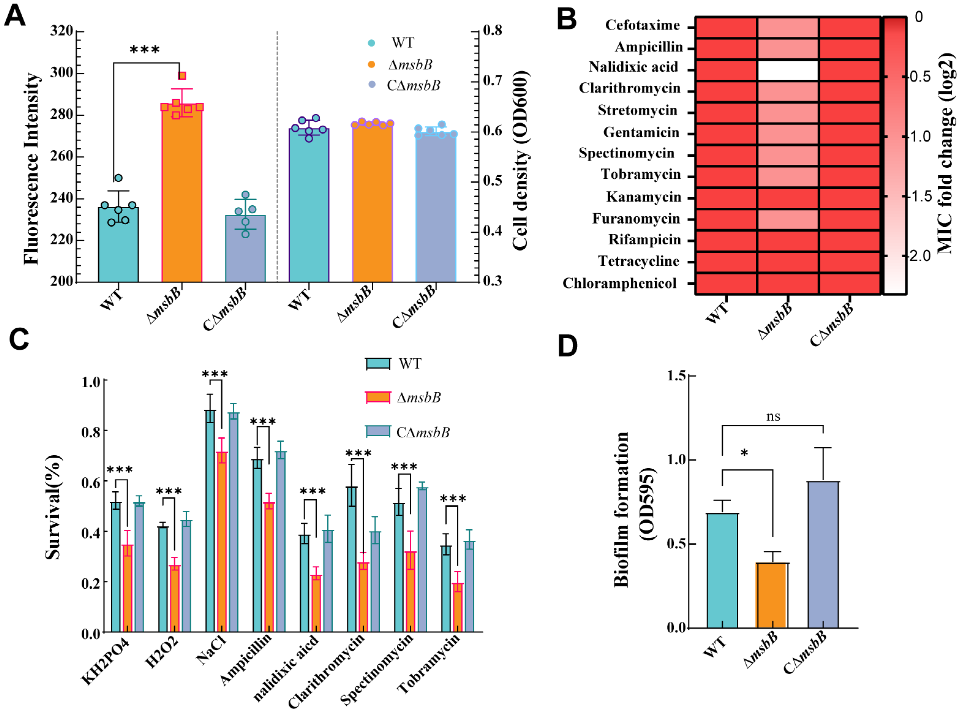 Microorganisms 13 00386 g002