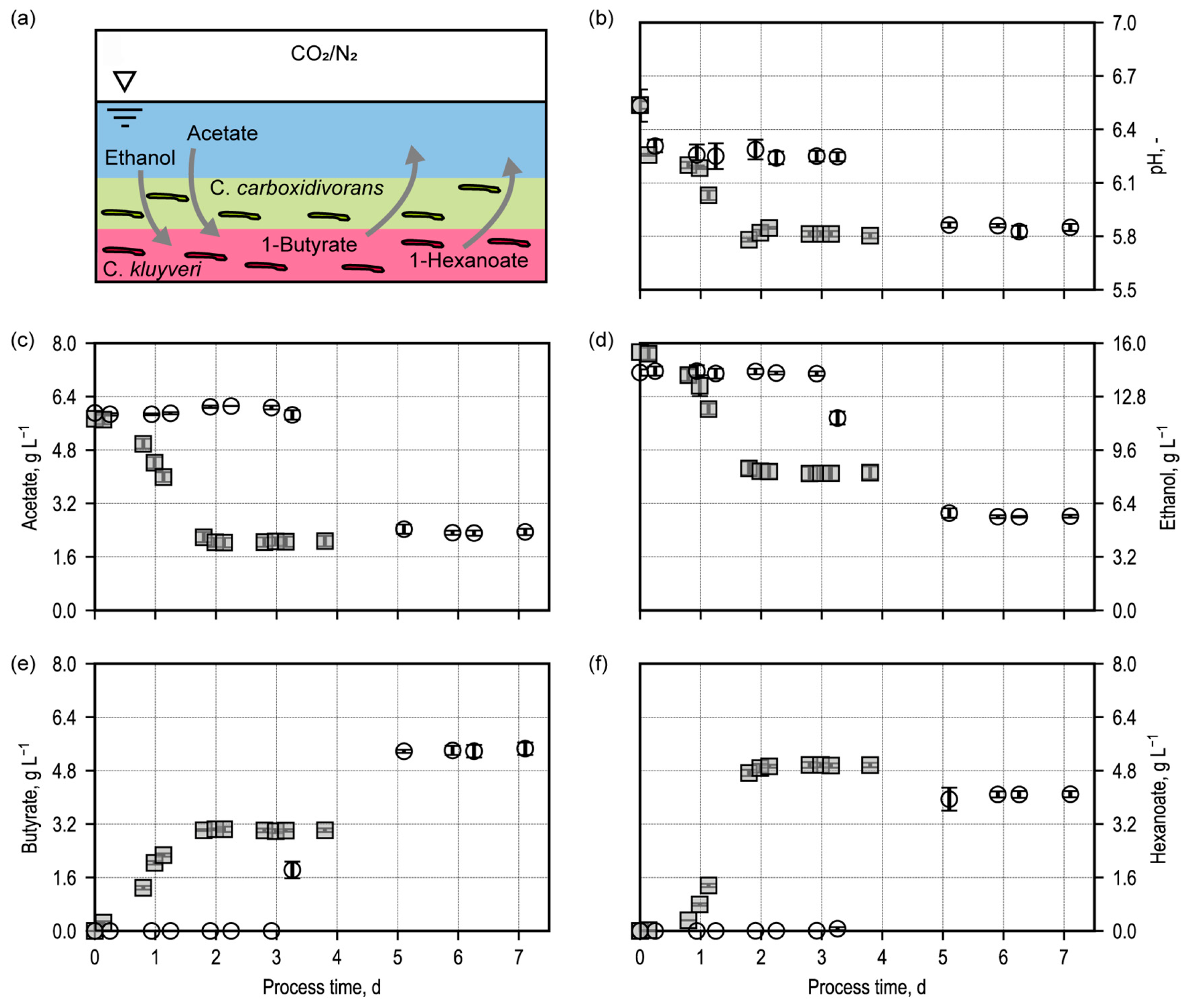 Microorganisms 13 00387 g002