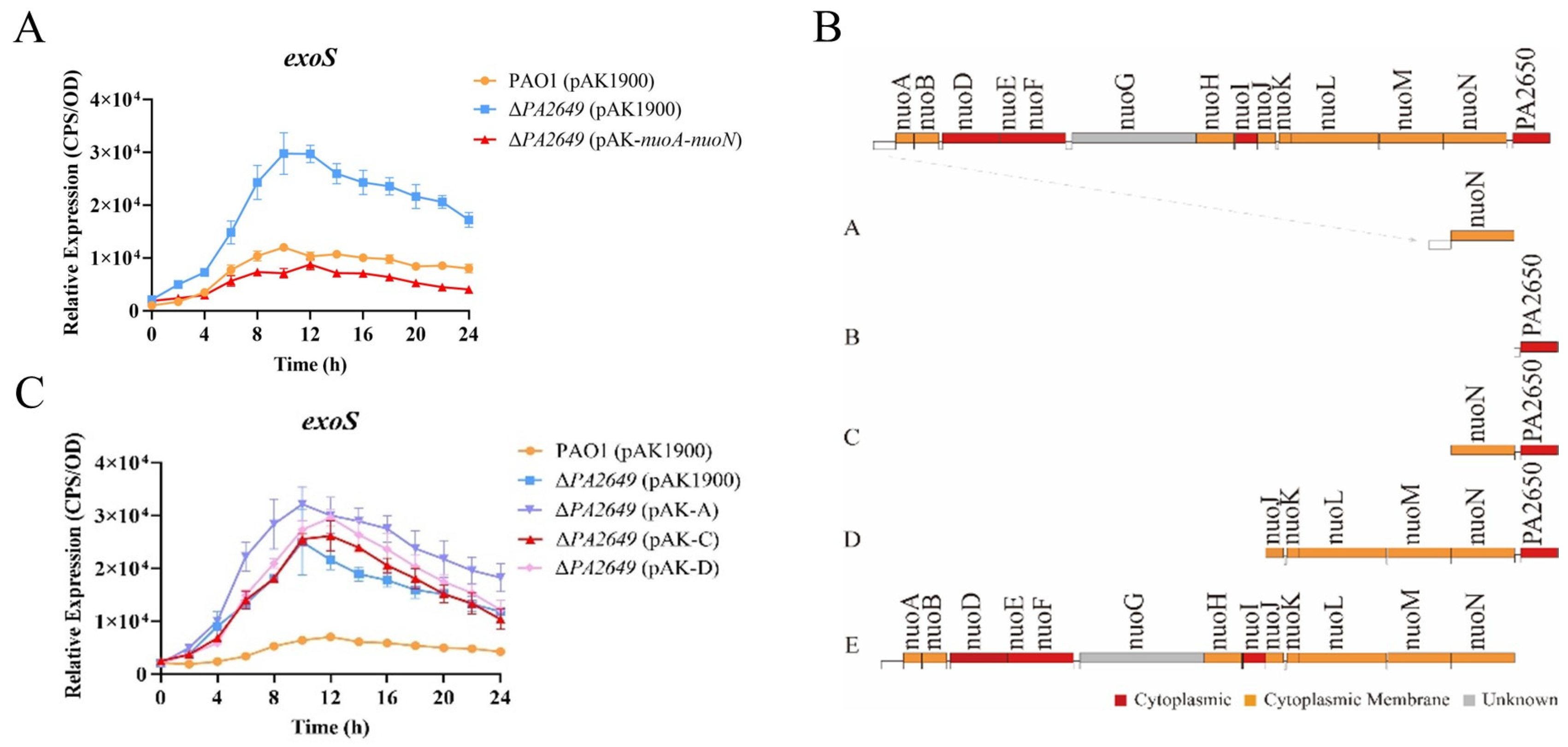 Microorganisms 13 00392 g001