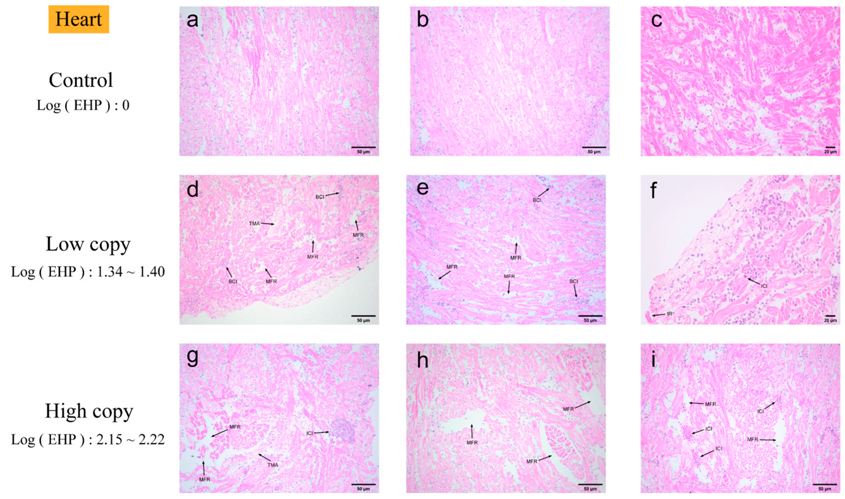 Microorganisms 13 00402 g004