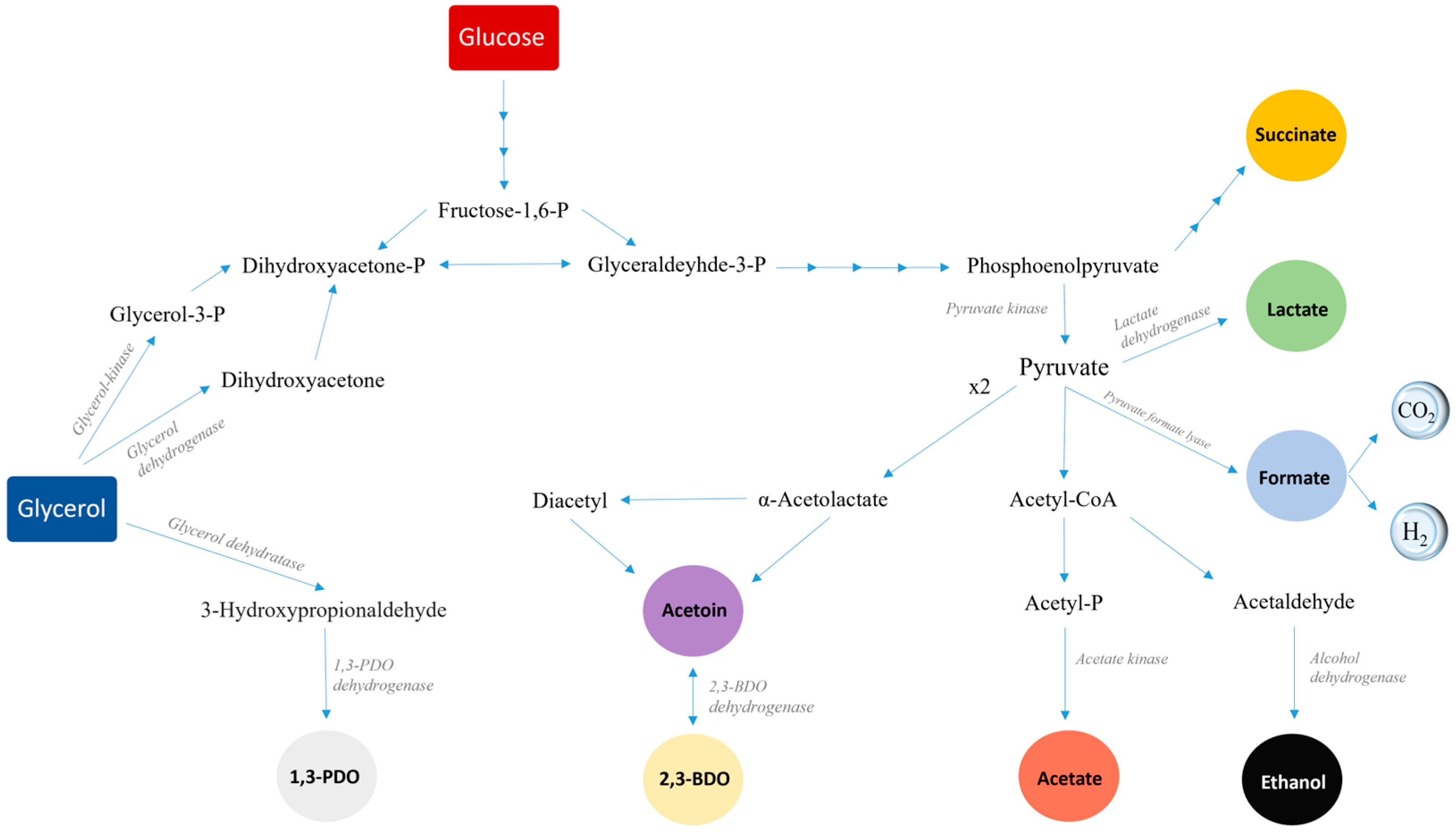 Microorganisms 13 00407 g001
