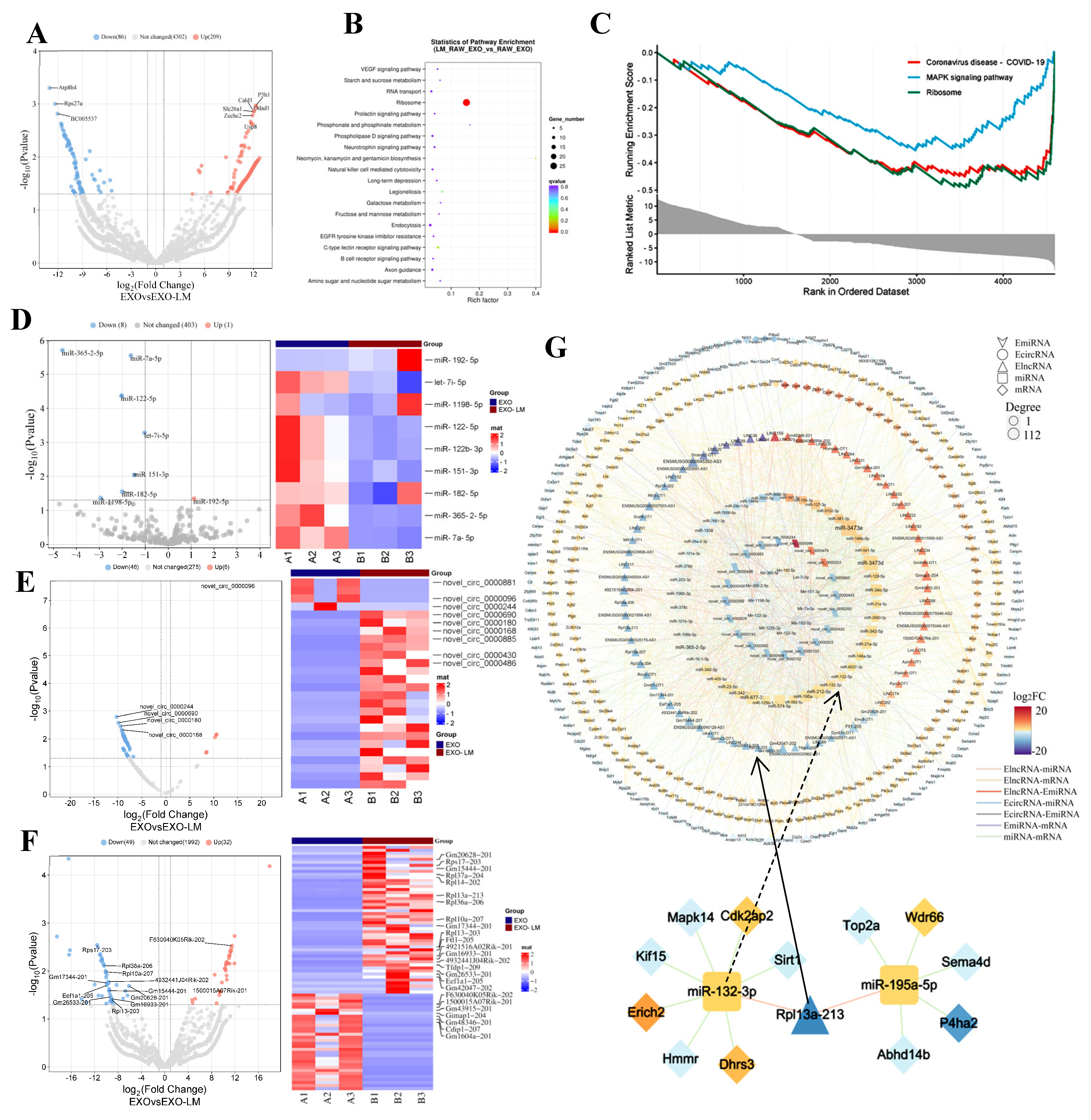 Microorganisms 13 00410 g004