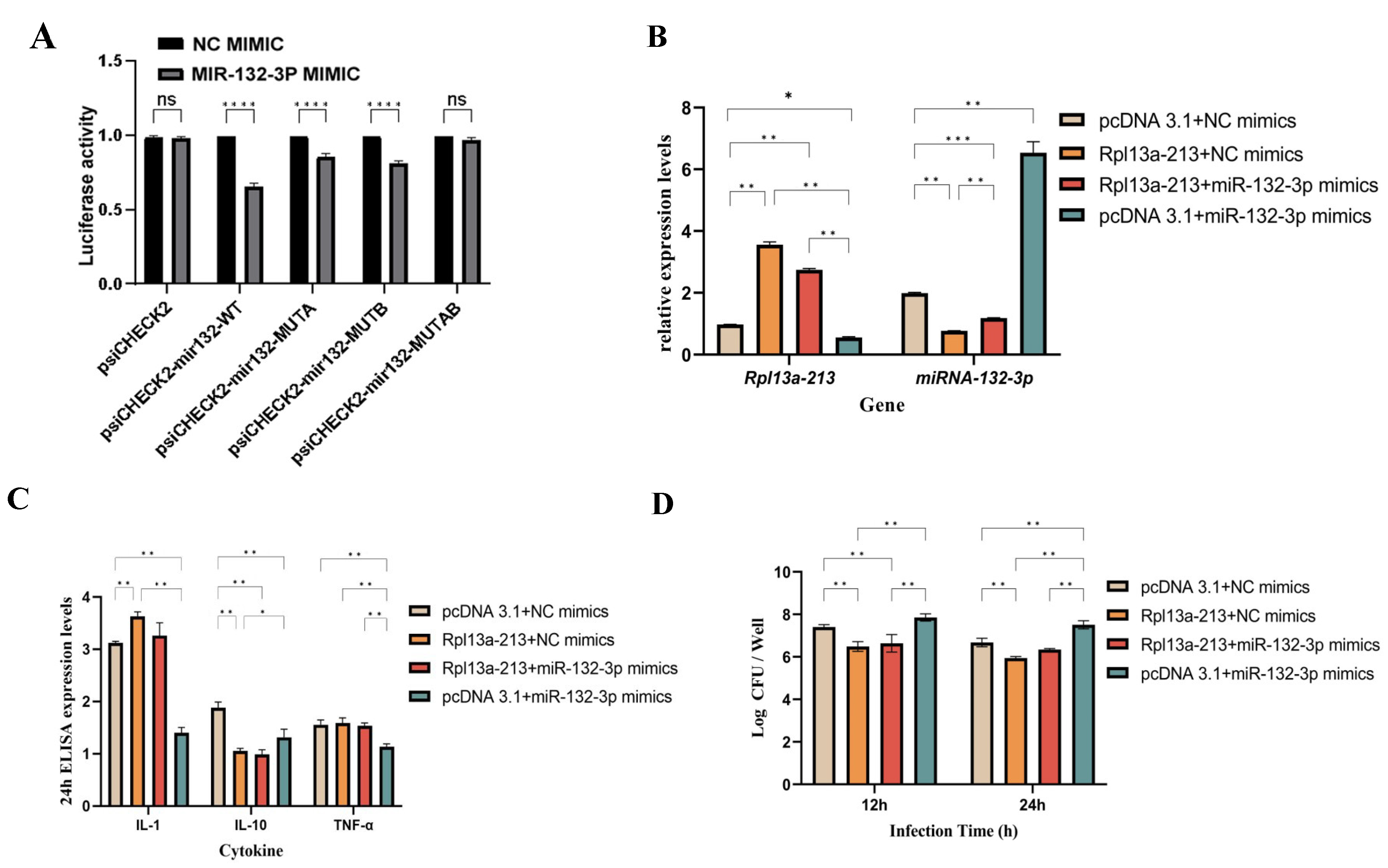 Microorganisms 13 00410 g005