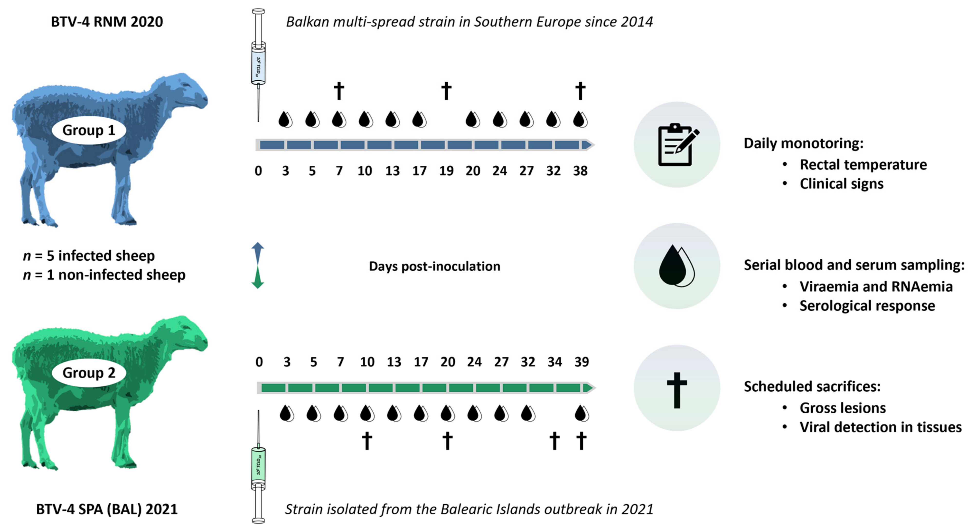Microorganisms 13 00411 g001 Microorganisms 13 00411 g001