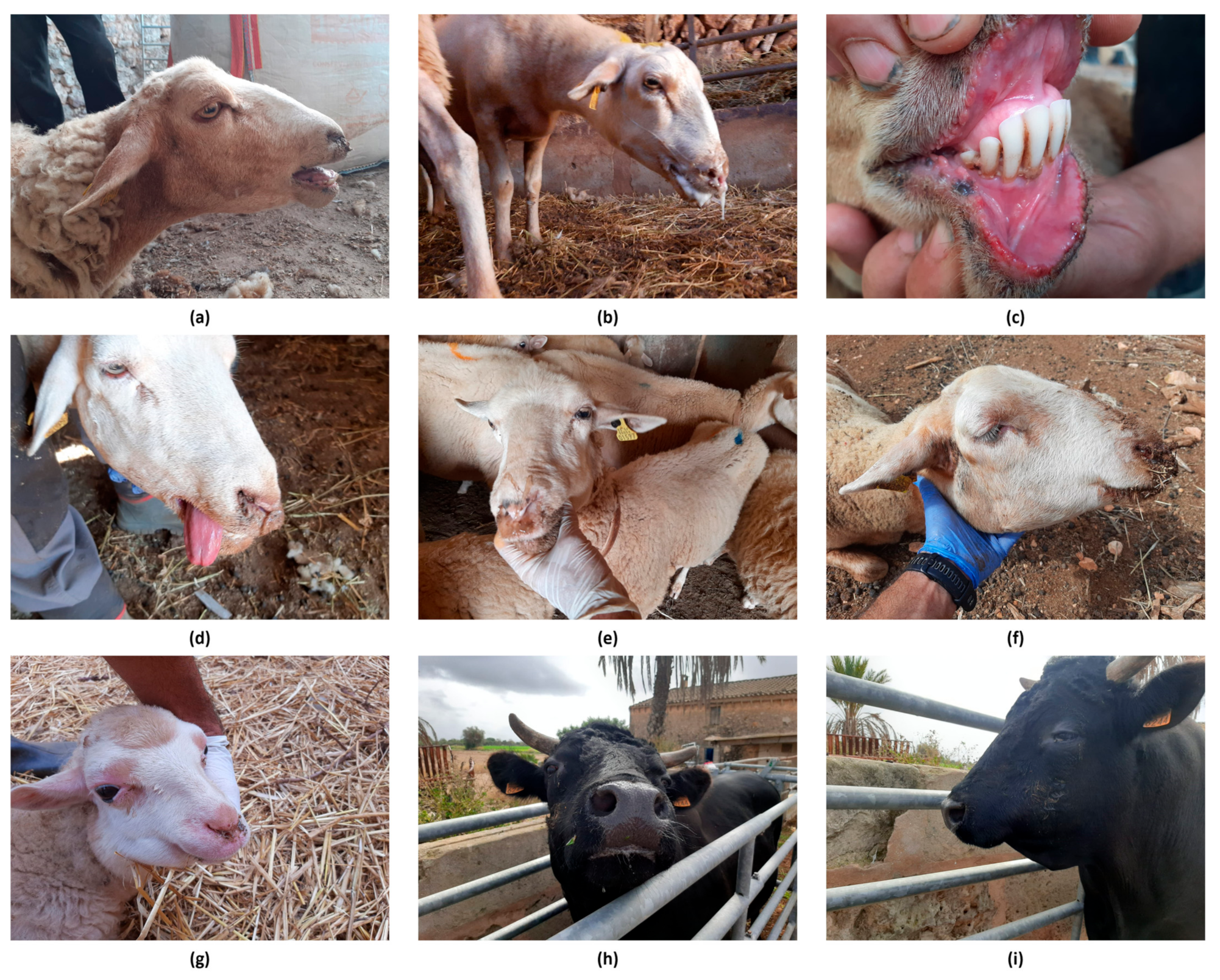 Microorganisms 13 00411 g003 Microorganisms 13 00411 g003